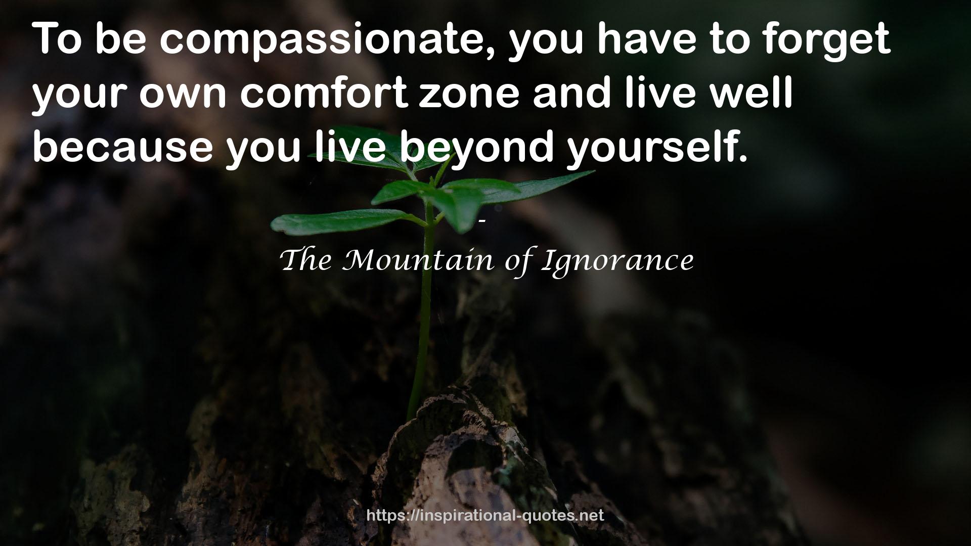 your own comfort zone  QUOTES
