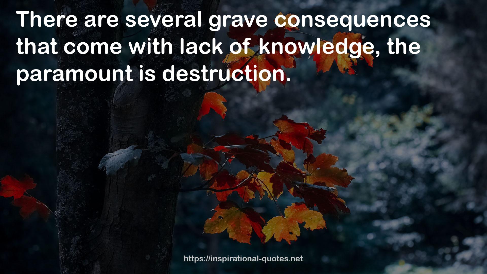 several grave consequences  QUOTES