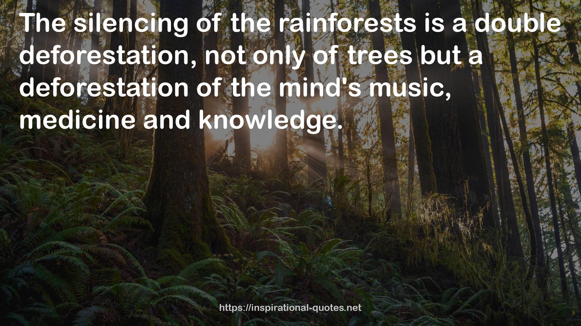 a deforestation  QUOTES