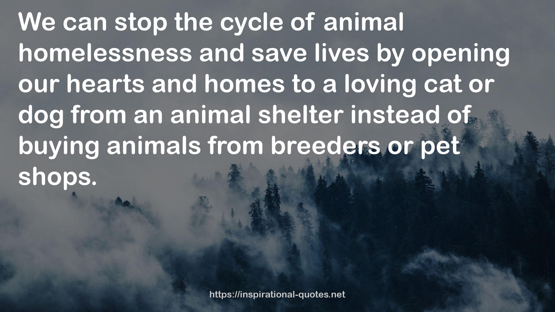 an animal shelter  QUOTES