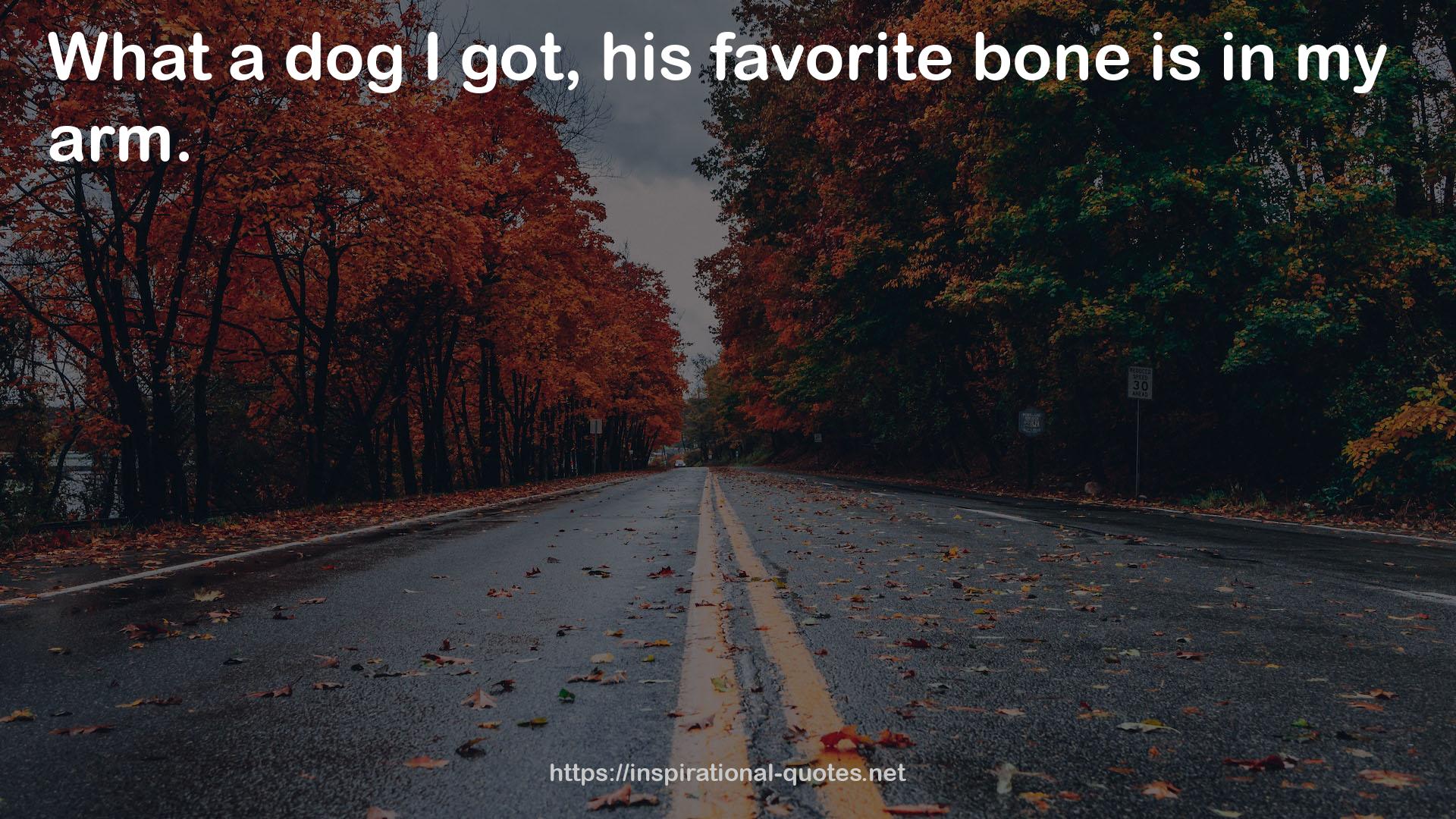 his favorite bone  QUOTES