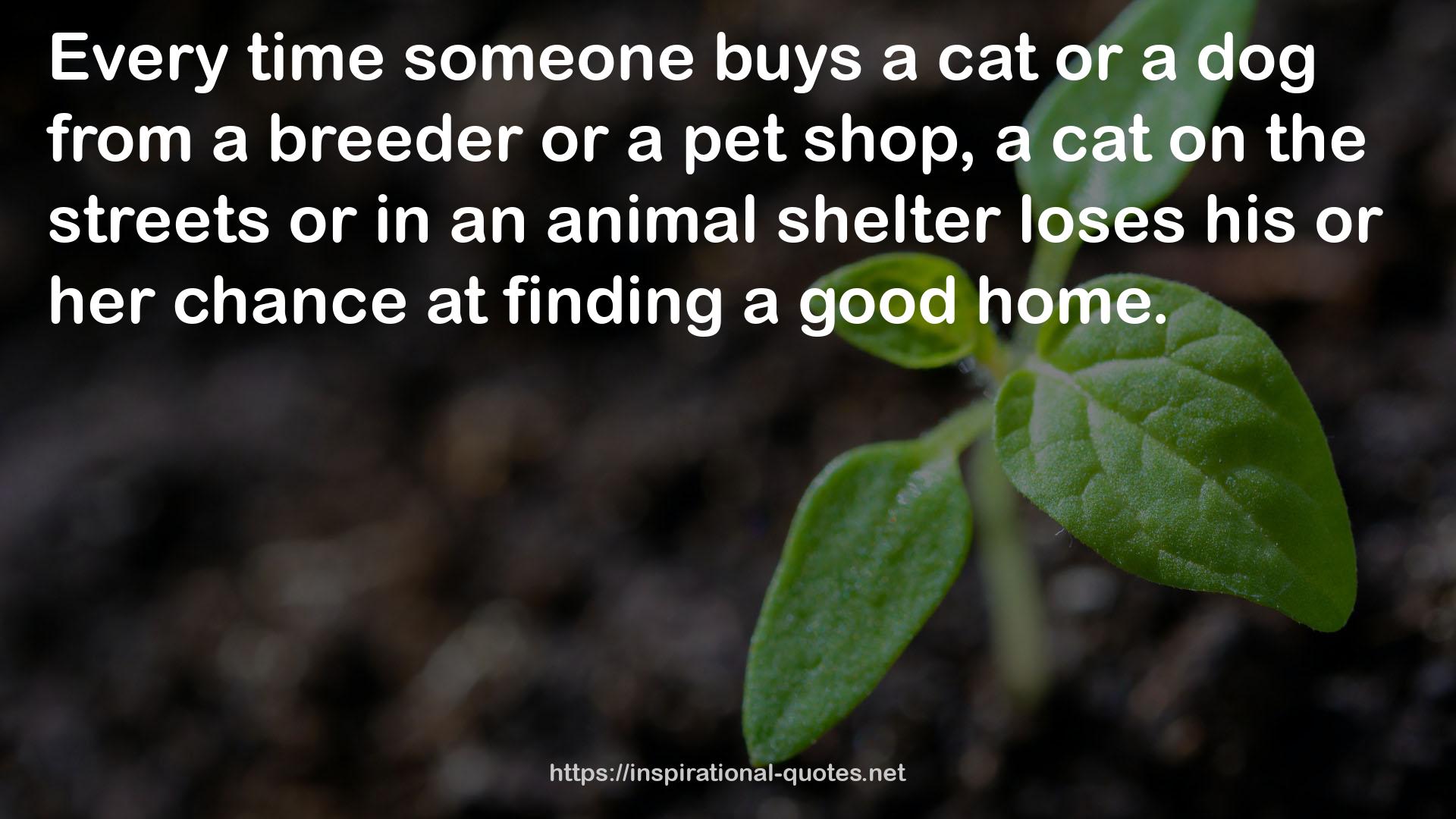 a breeder  QUOTES