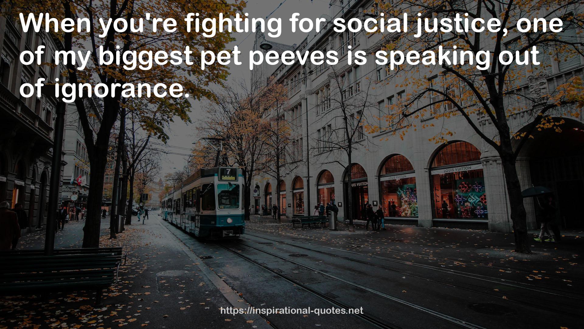 pet peeves  QUOTES