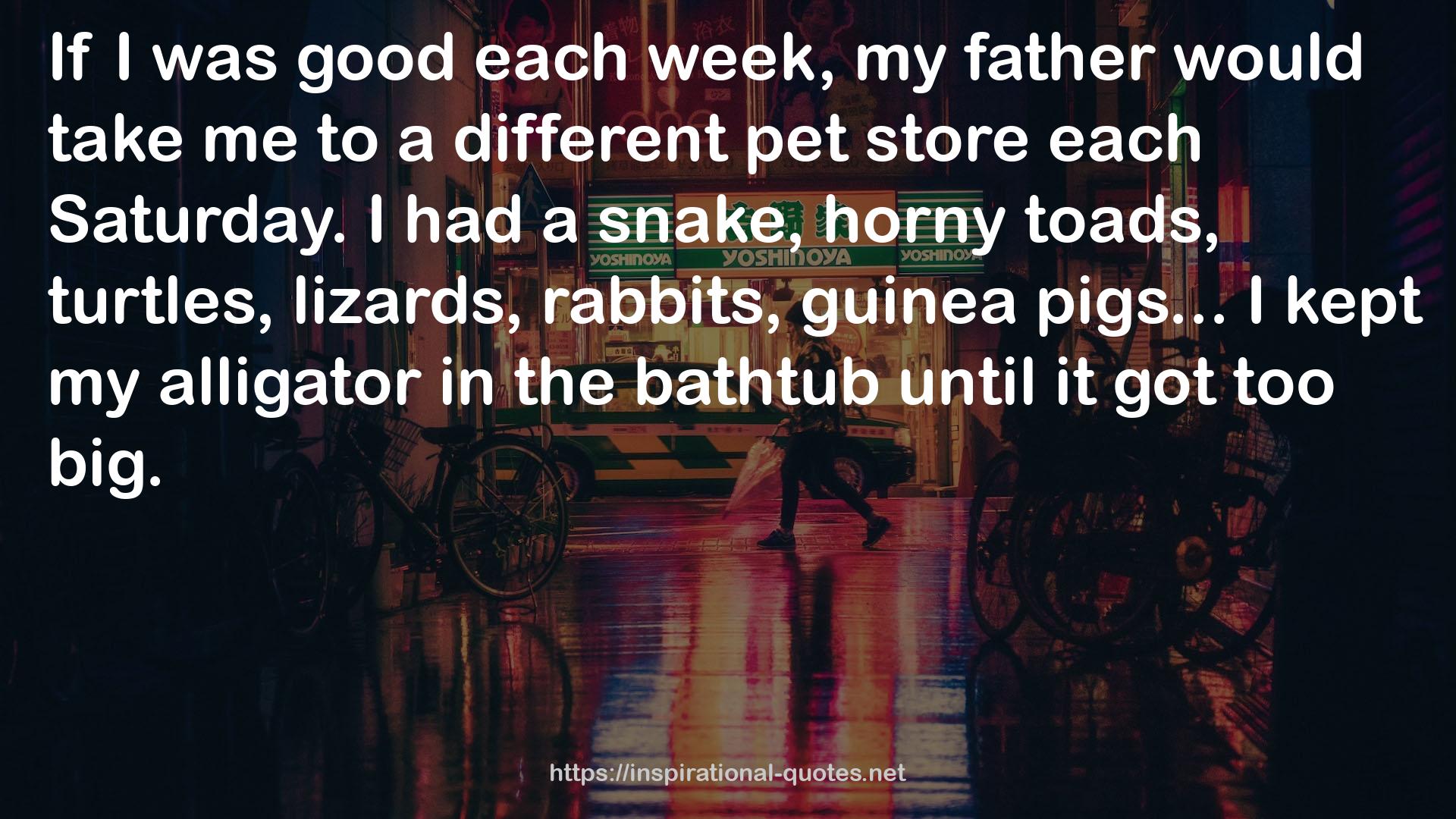 a different pet store  QUOTES