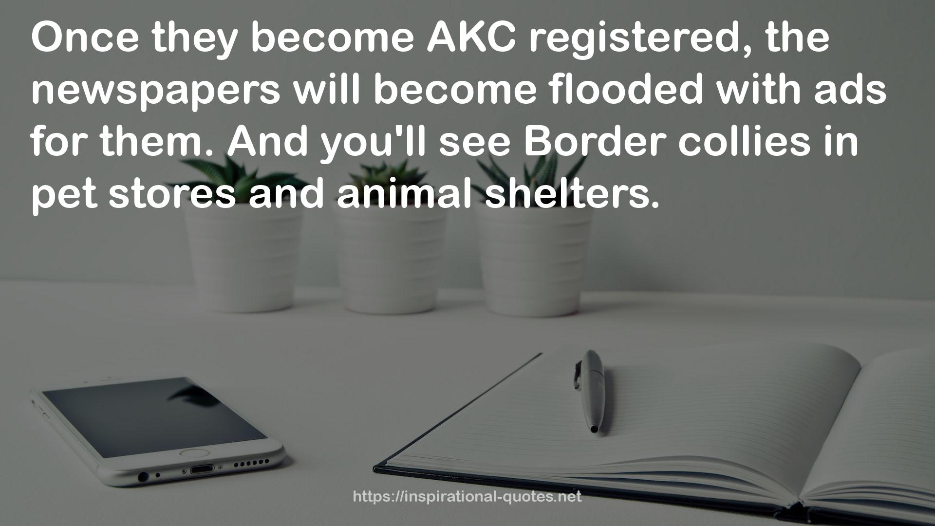 AKC  QUOTES