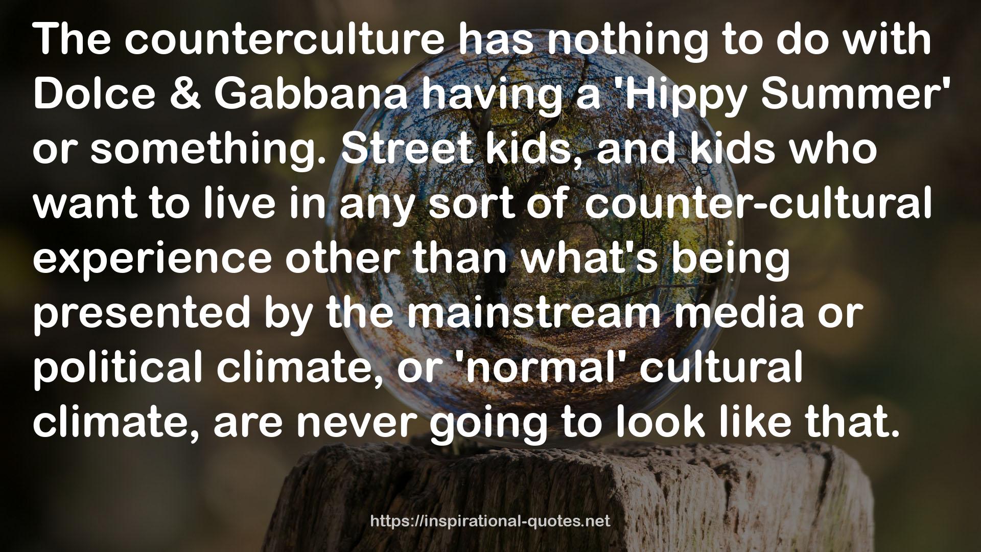 counter-cultural experience  QUOTES