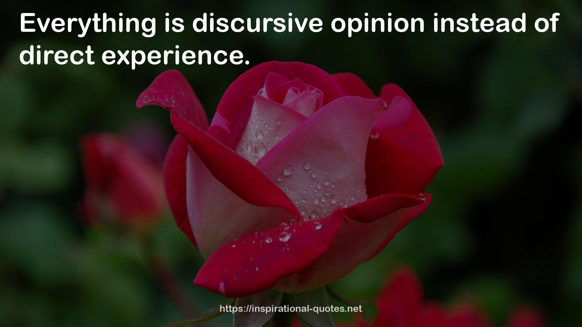 discursive opinion  QUOTES