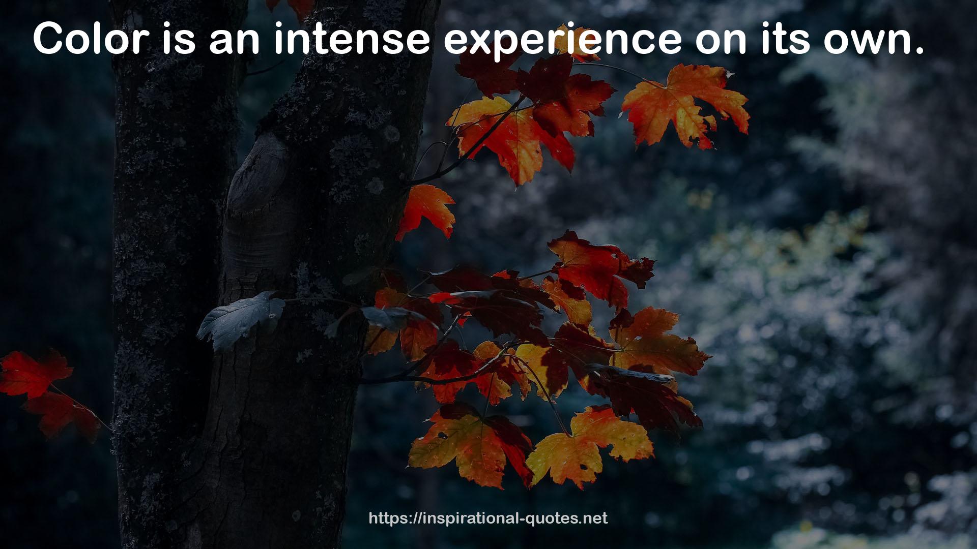 an intense experience  QUOTES