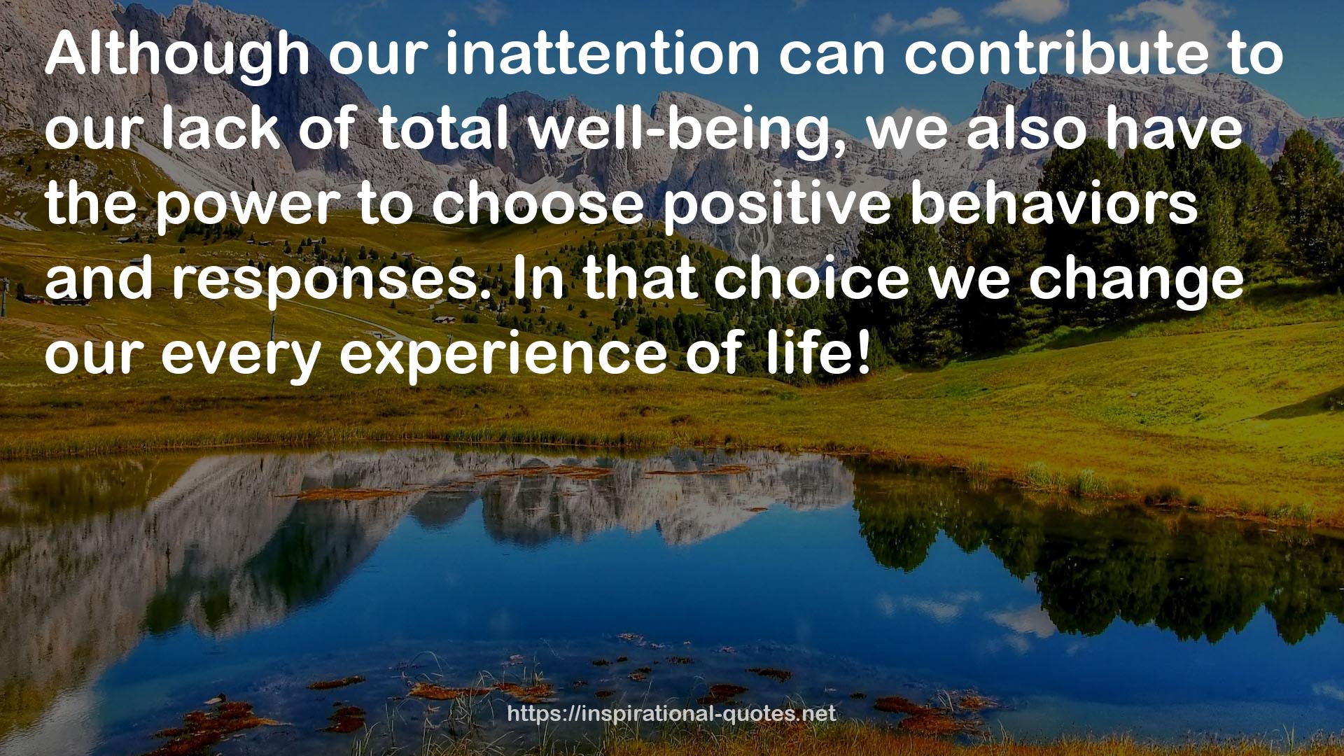 our inattention  QUOTES