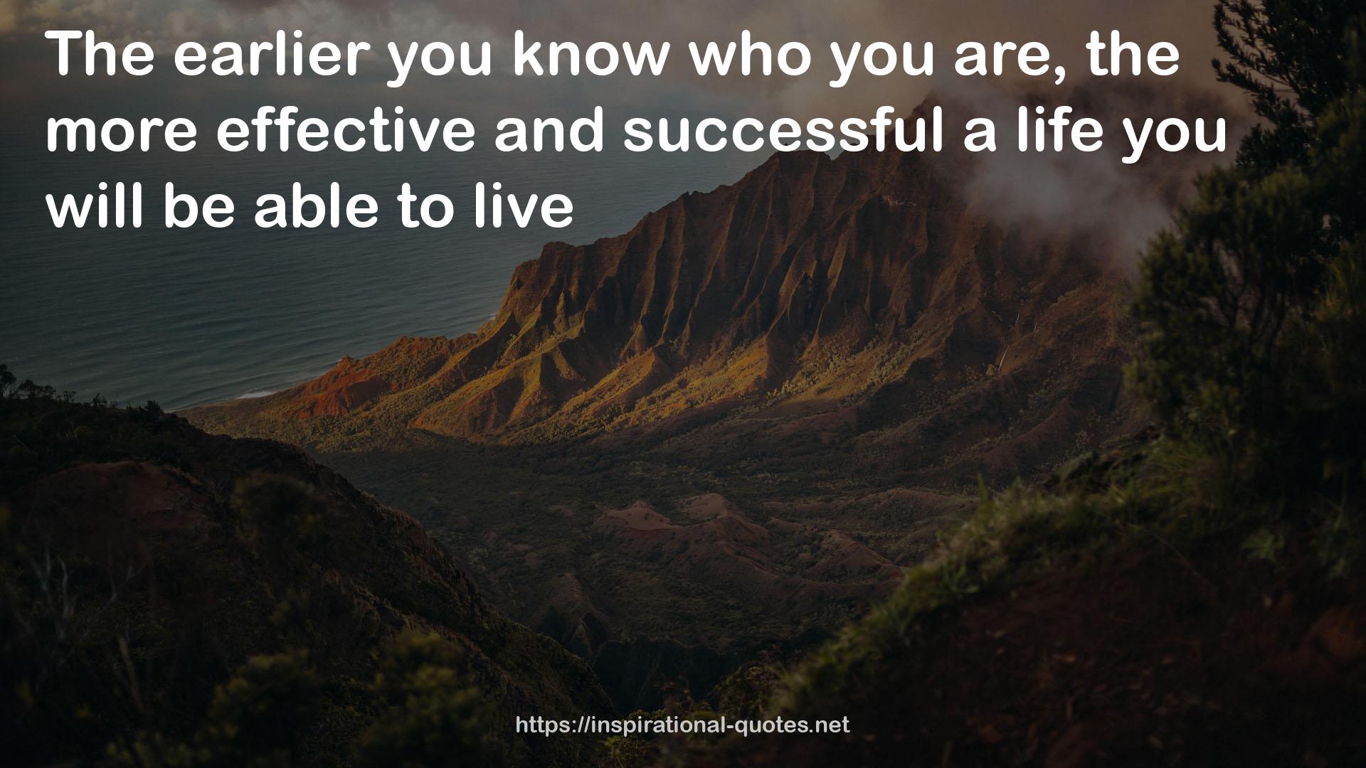 the more effective and successful a life  QUOTES