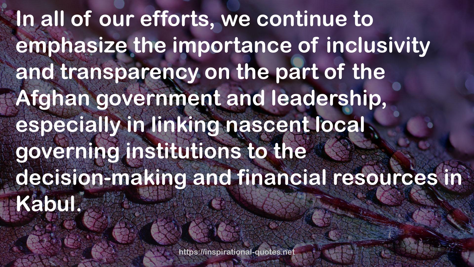 nascent local governing institutions  QUOTES