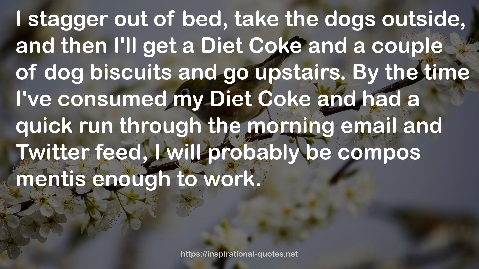 my Diet Coke  QUOTES