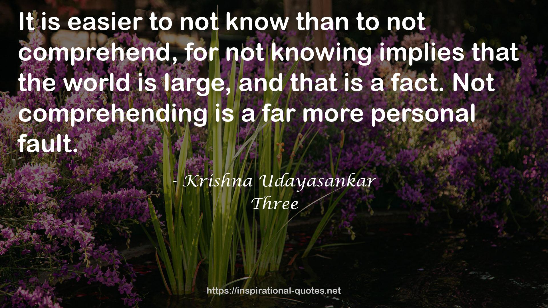 Krishna Udayasankar QUOTES