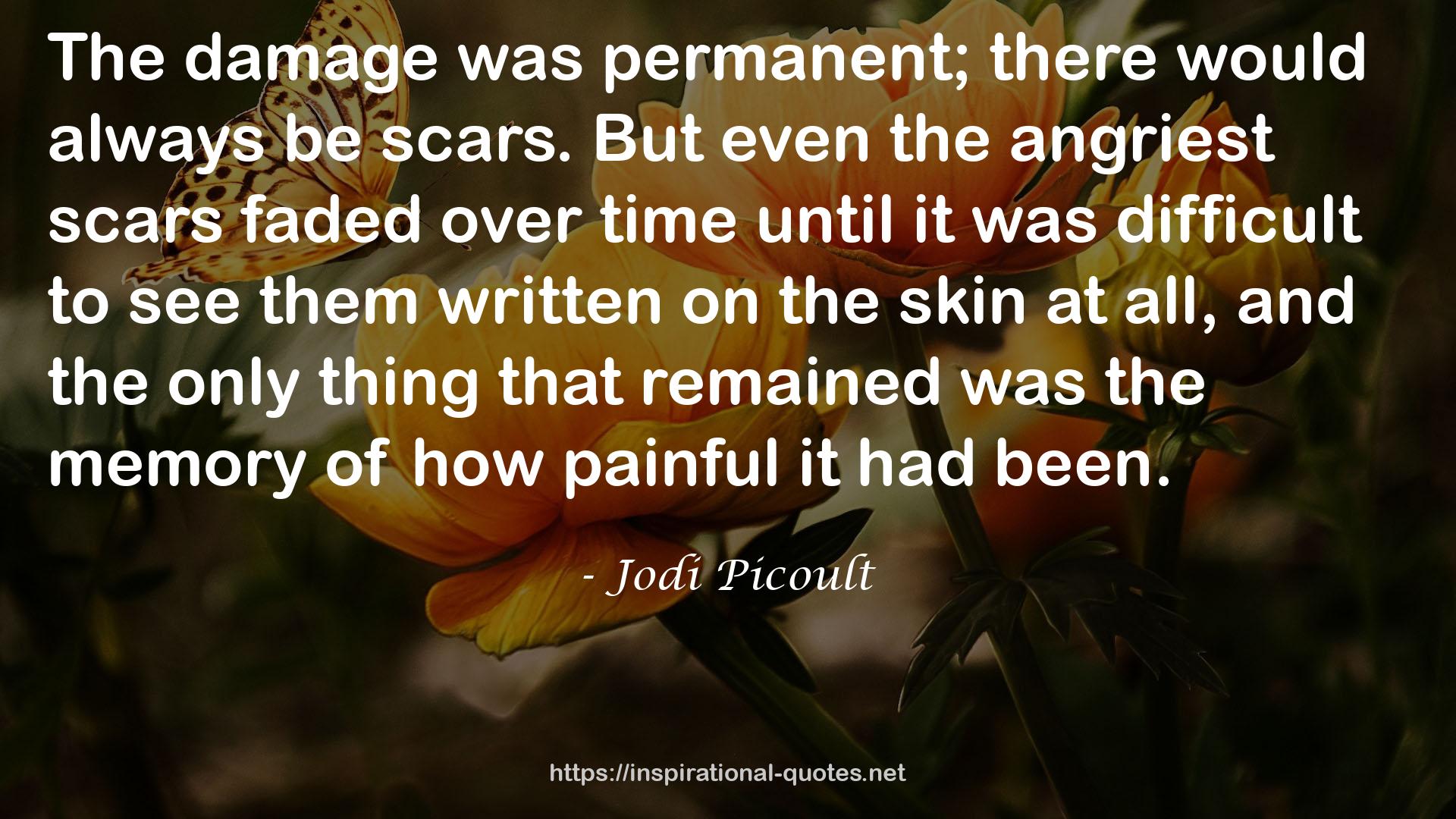 scars  QUOTES