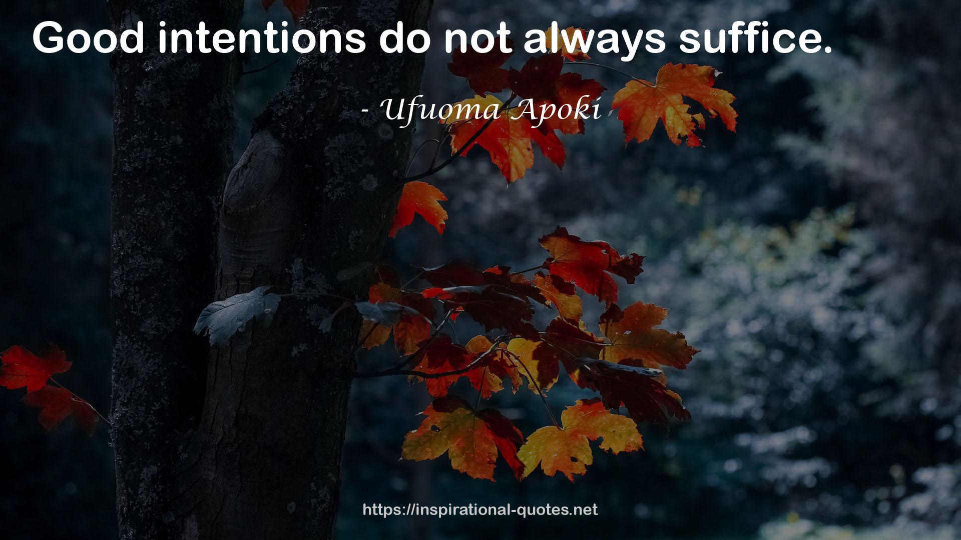 Ufuoma Apoki QUOTES