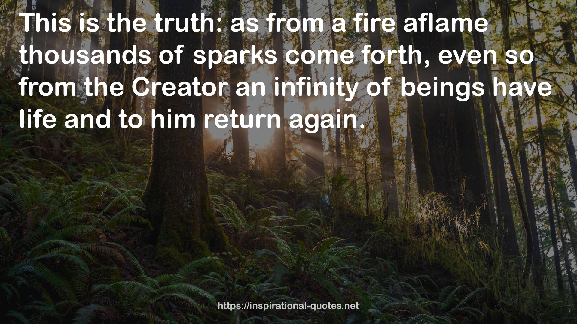 a fire aflame  QUOTES