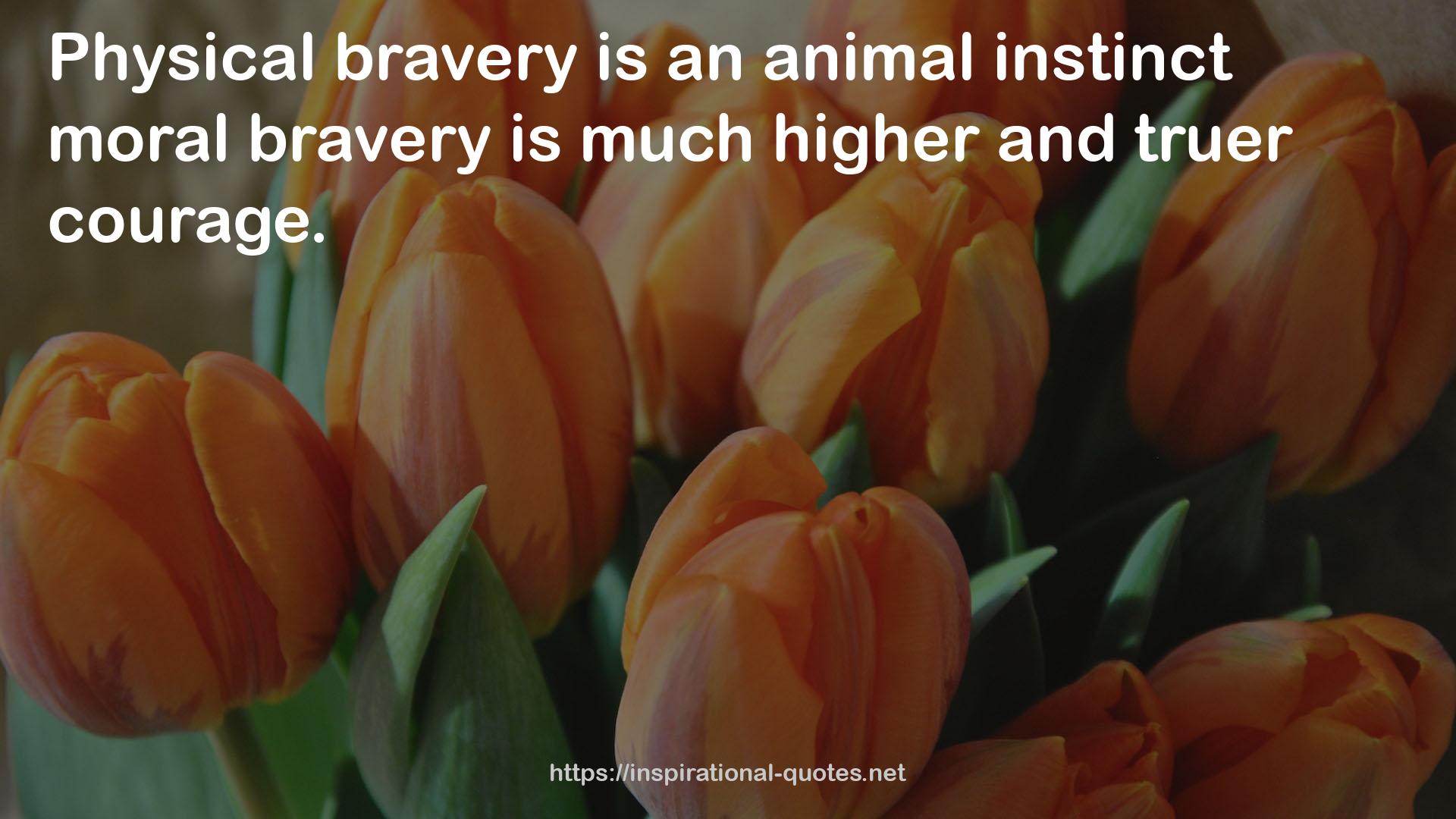 an animal instinct moral bravery  QUOTES