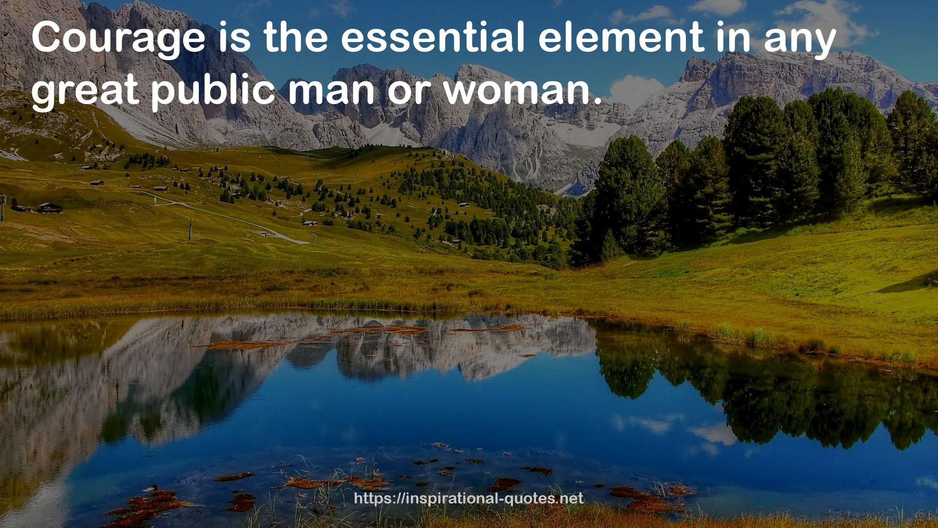 any great public man  QUOTES