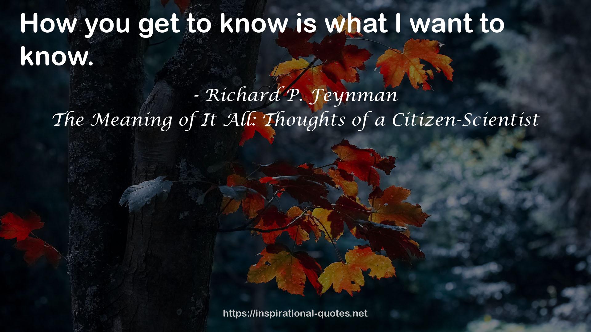 The Meaning of It All: Thoughts of a Citizen-Scientist QUOTES