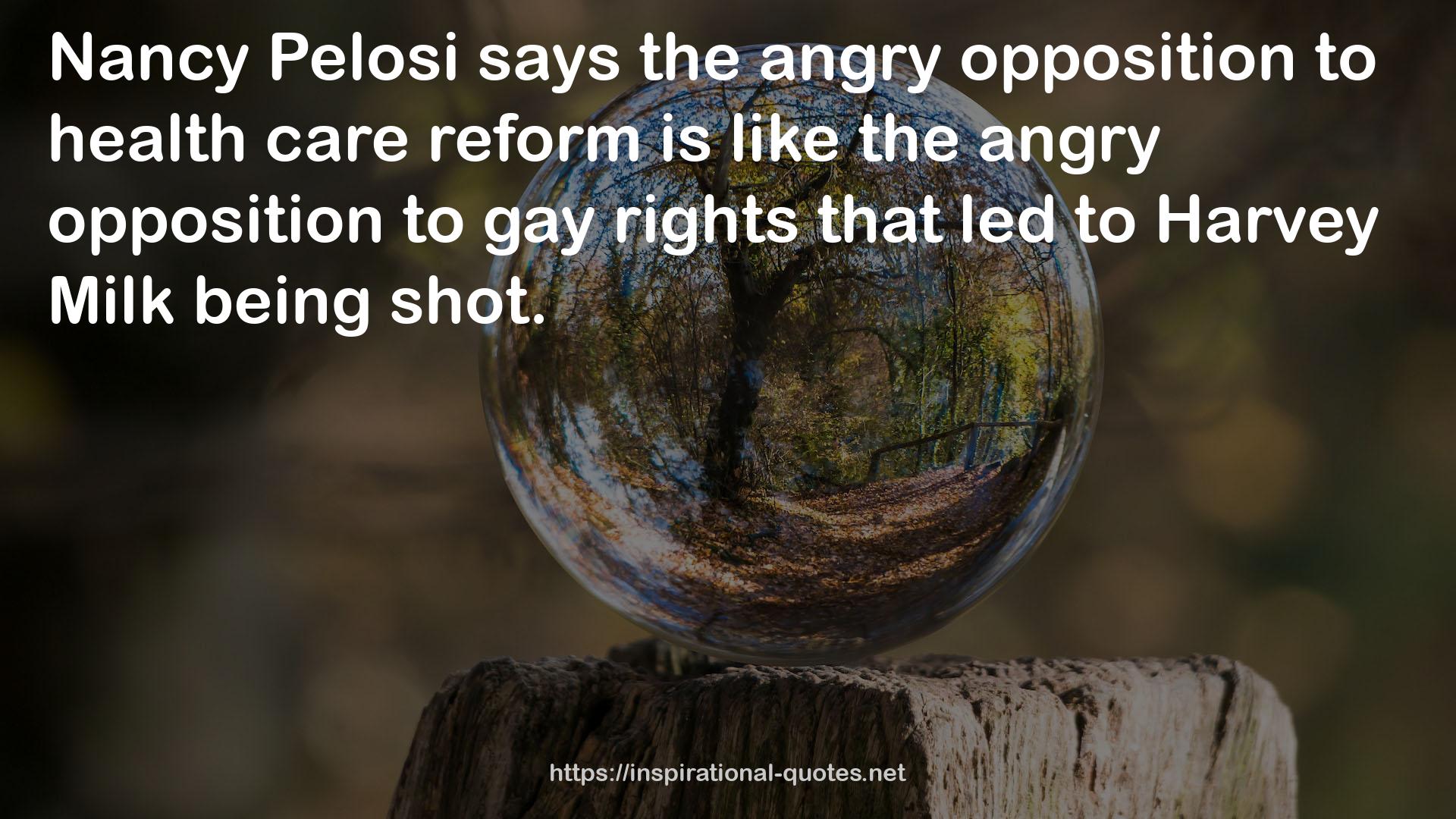 the angry opposition  QUOTES