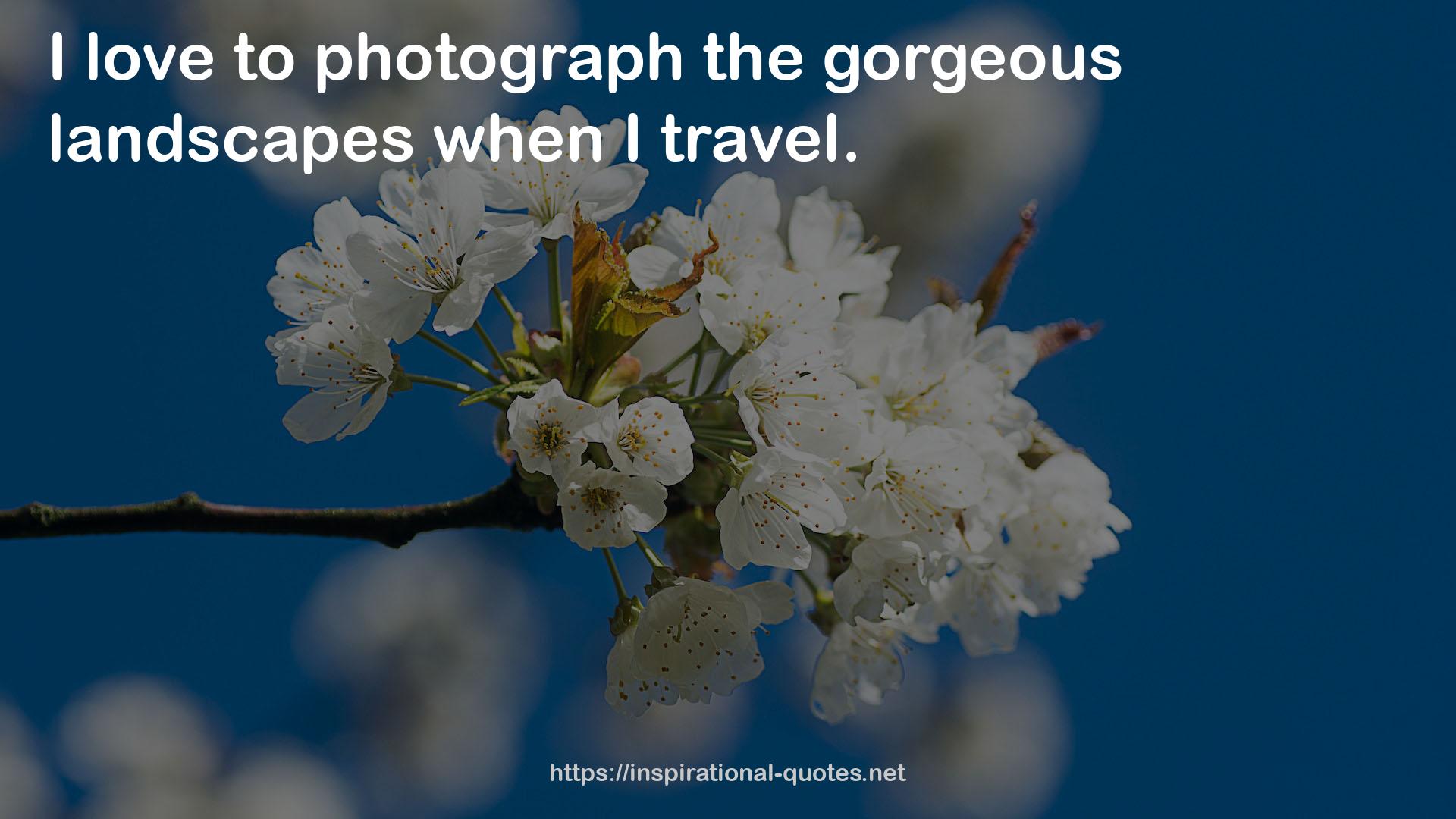 the gorgeous landscapes  QUOTES