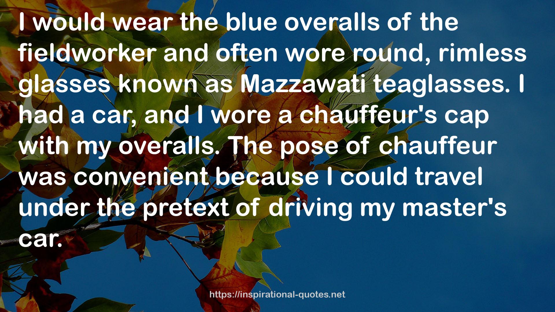 the blue overalls  QUOTES