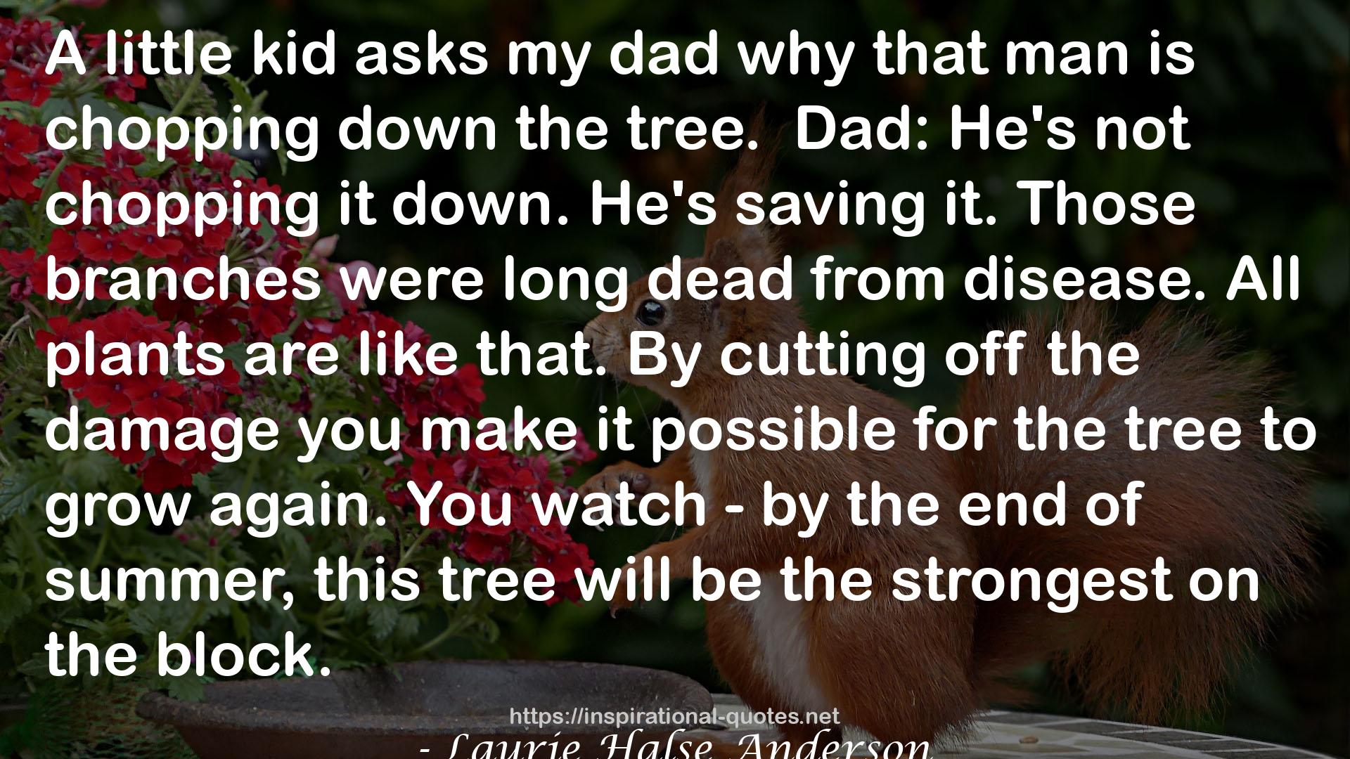 Laurie Halse Anderson QUOTES