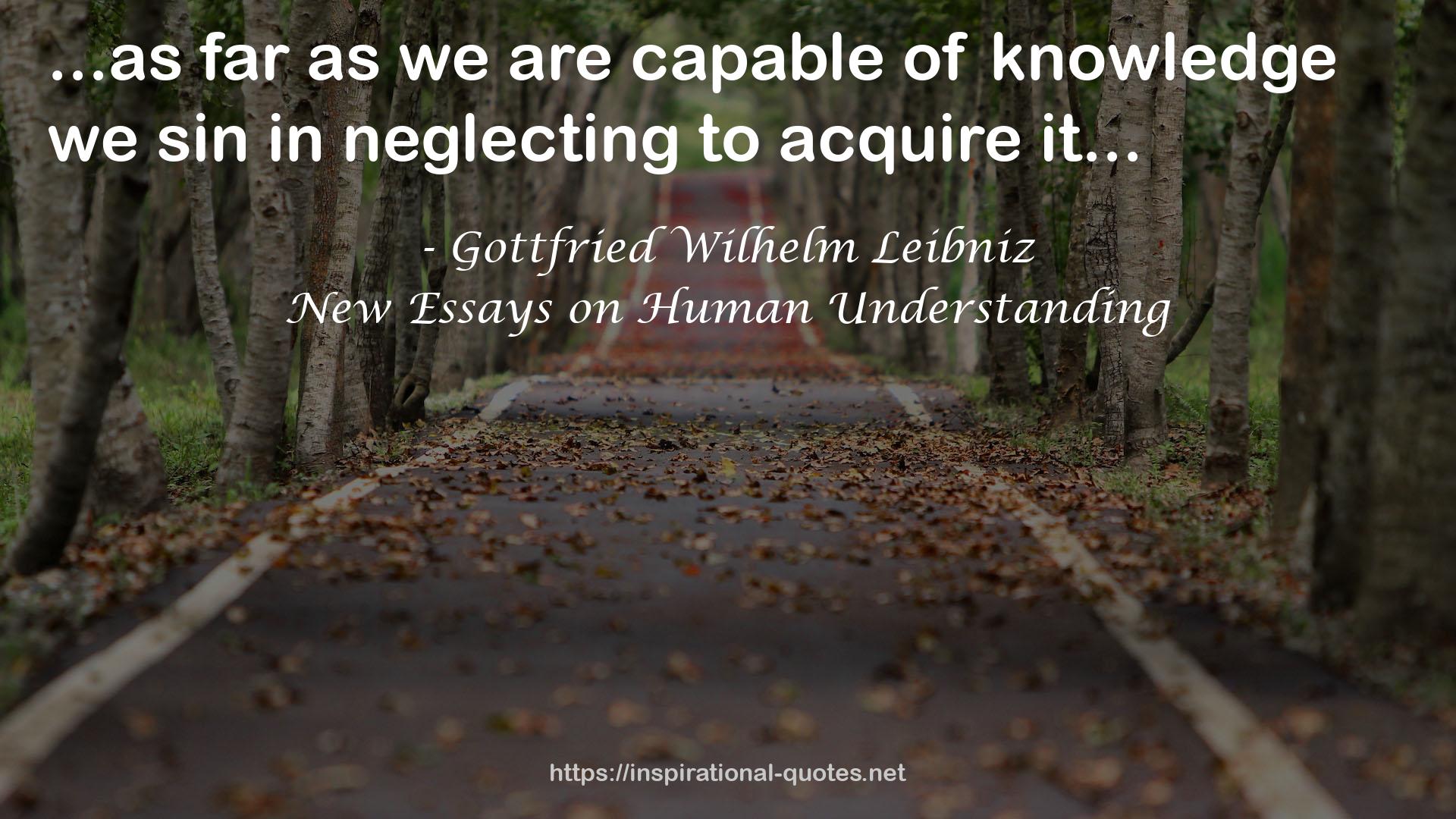 New Essays on Human Understanding QUOTES