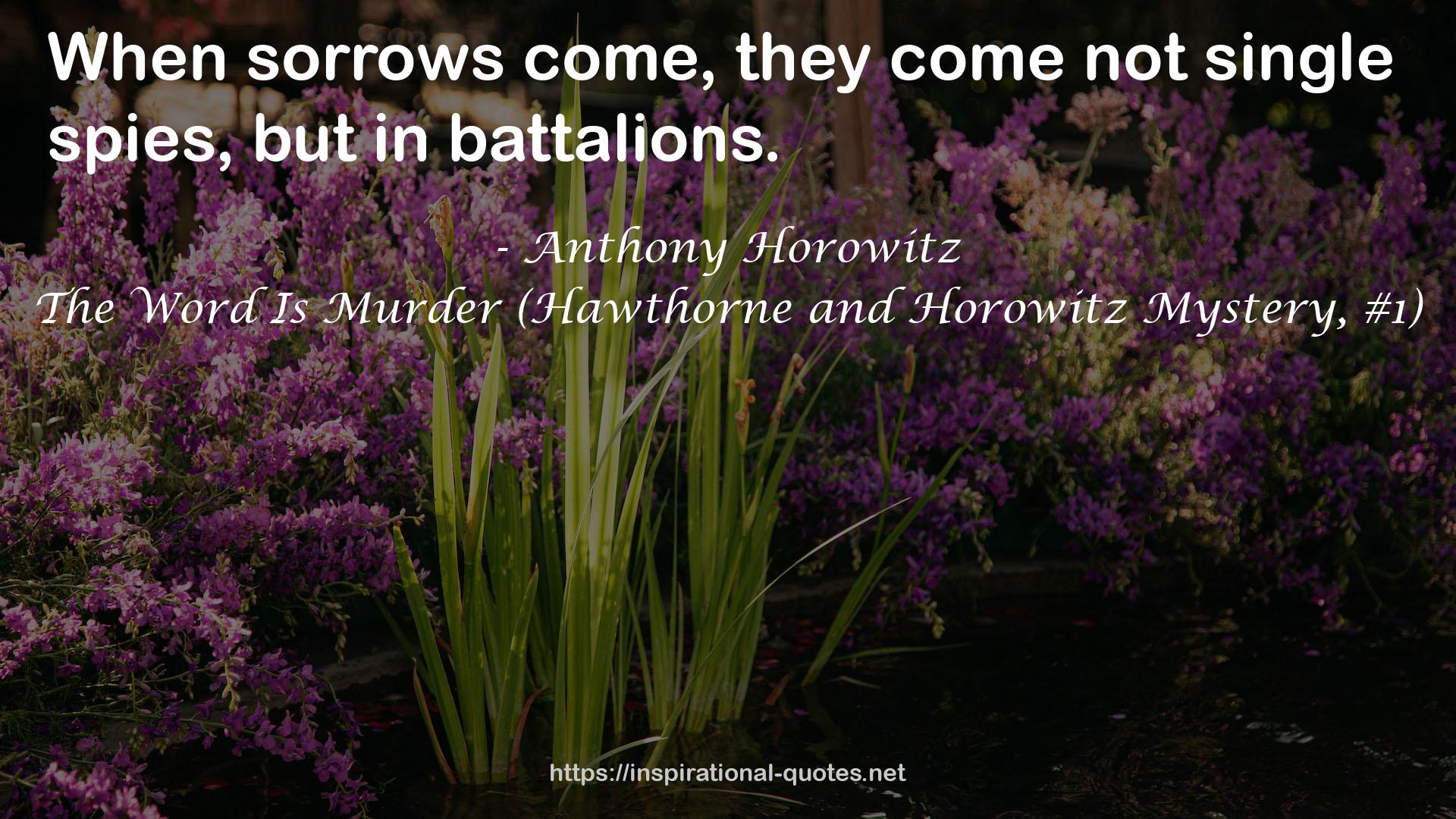 The Word Is Murder (Hawthorne and Horowitz Mystery, #1) QUOTES