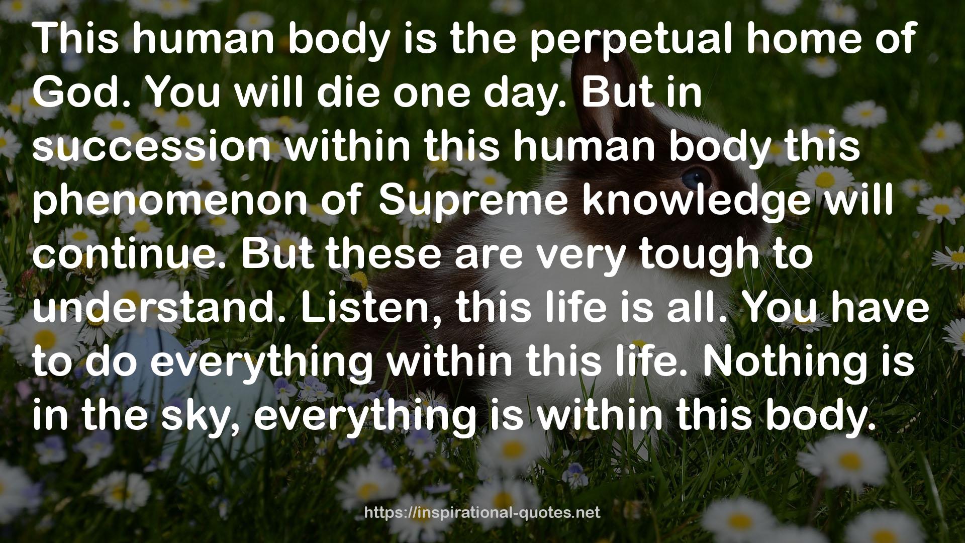 This human body  QUOTES