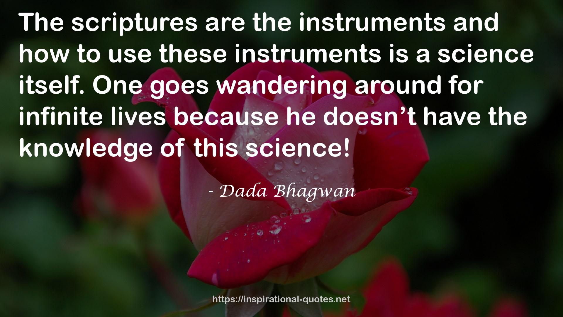 these instruments  QUOTES