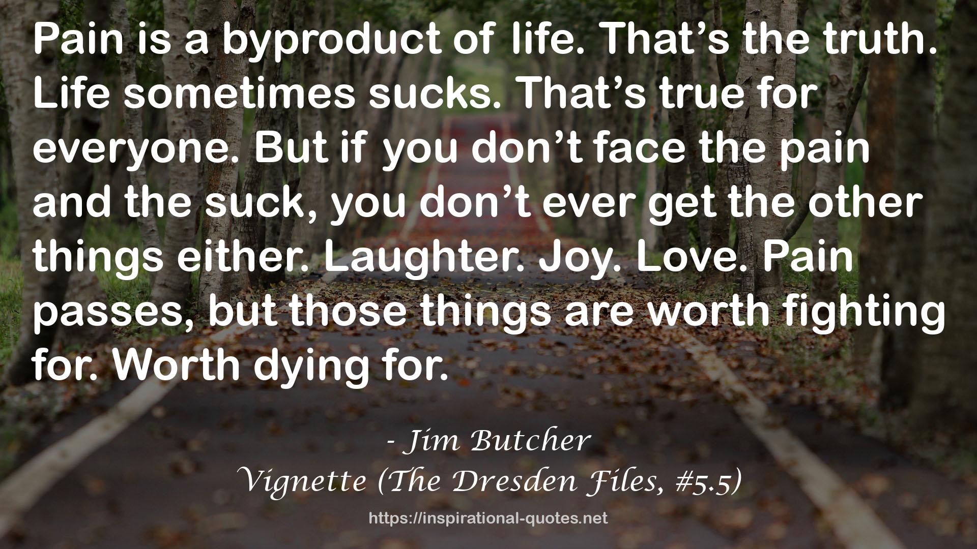 Vignette (The Dresden Files, #5.5) QUOTES