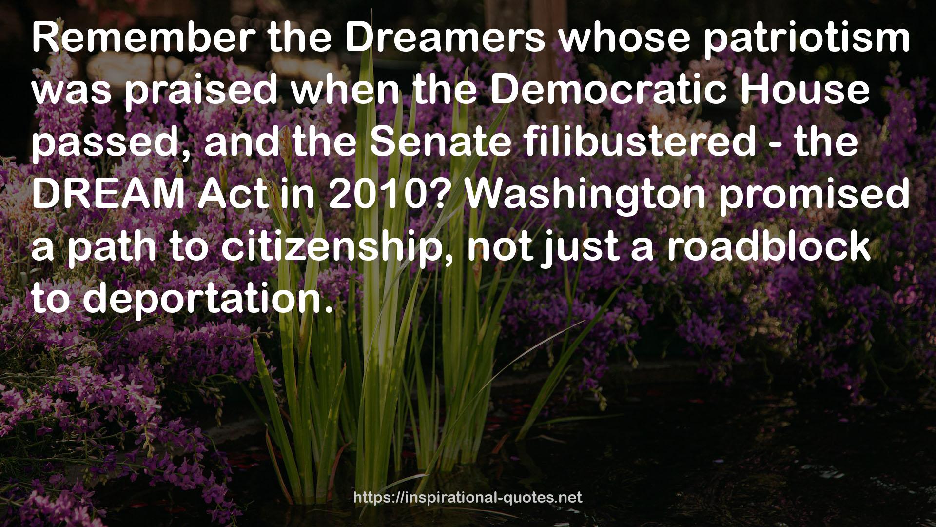 the Dream Act  QUOTES