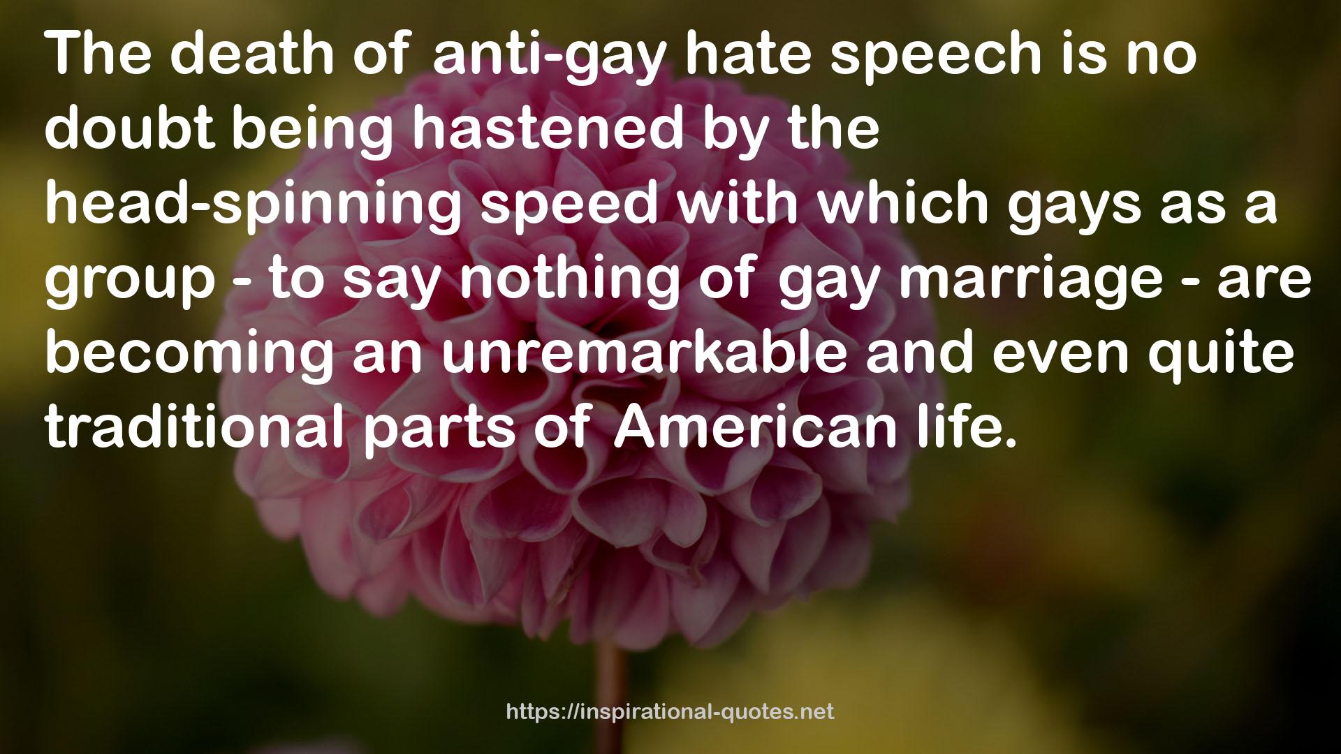 anti-gay hate speech  QUOTES