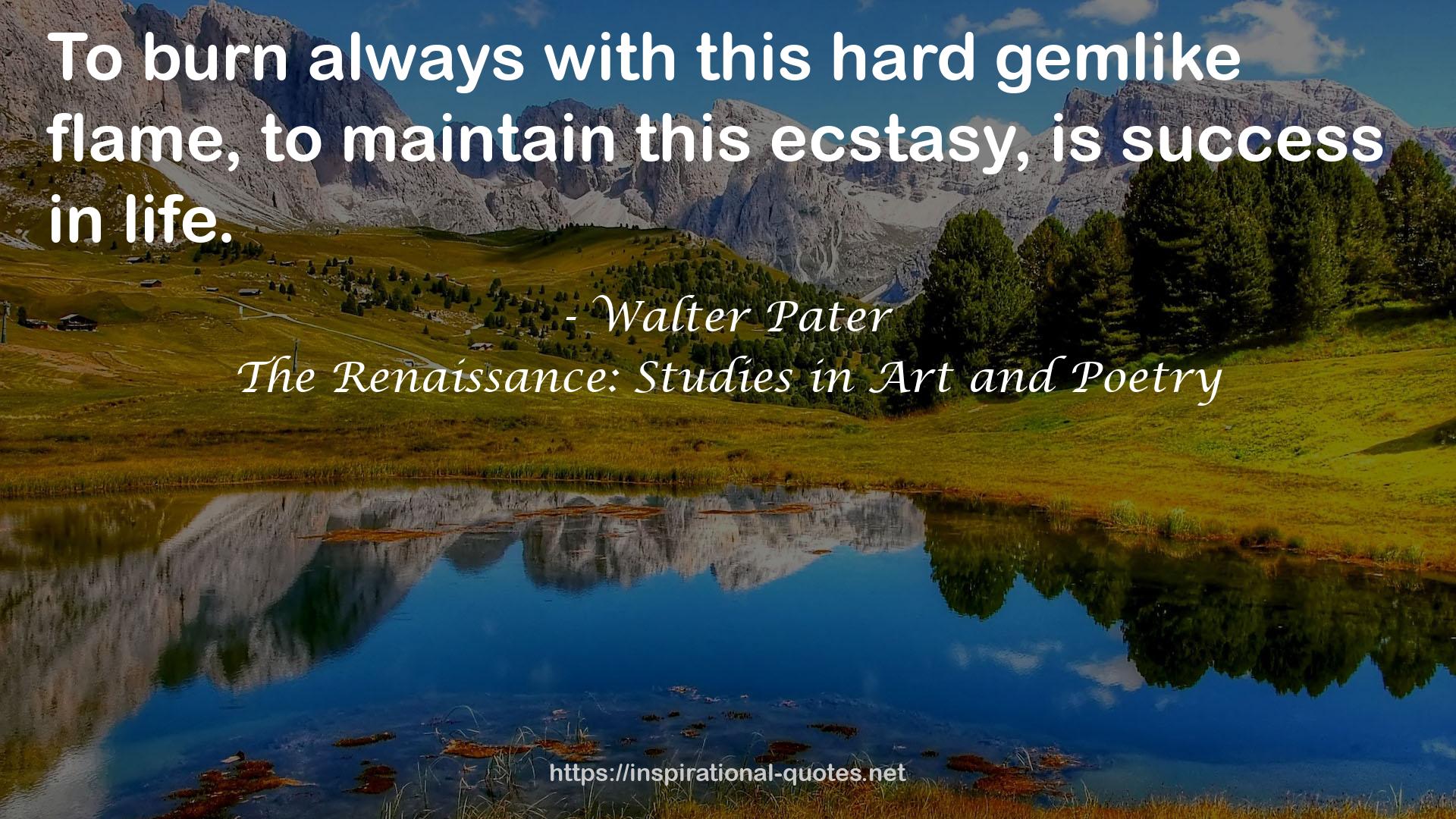 The Renaissance: Studies in Art and Poetry QUOTES