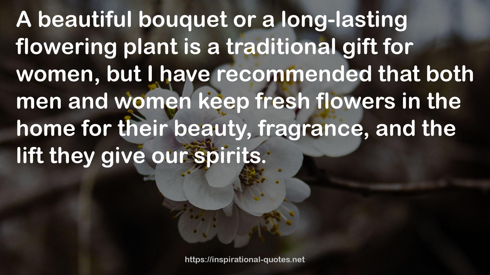 a long-lasting flowering plant  QUOTES