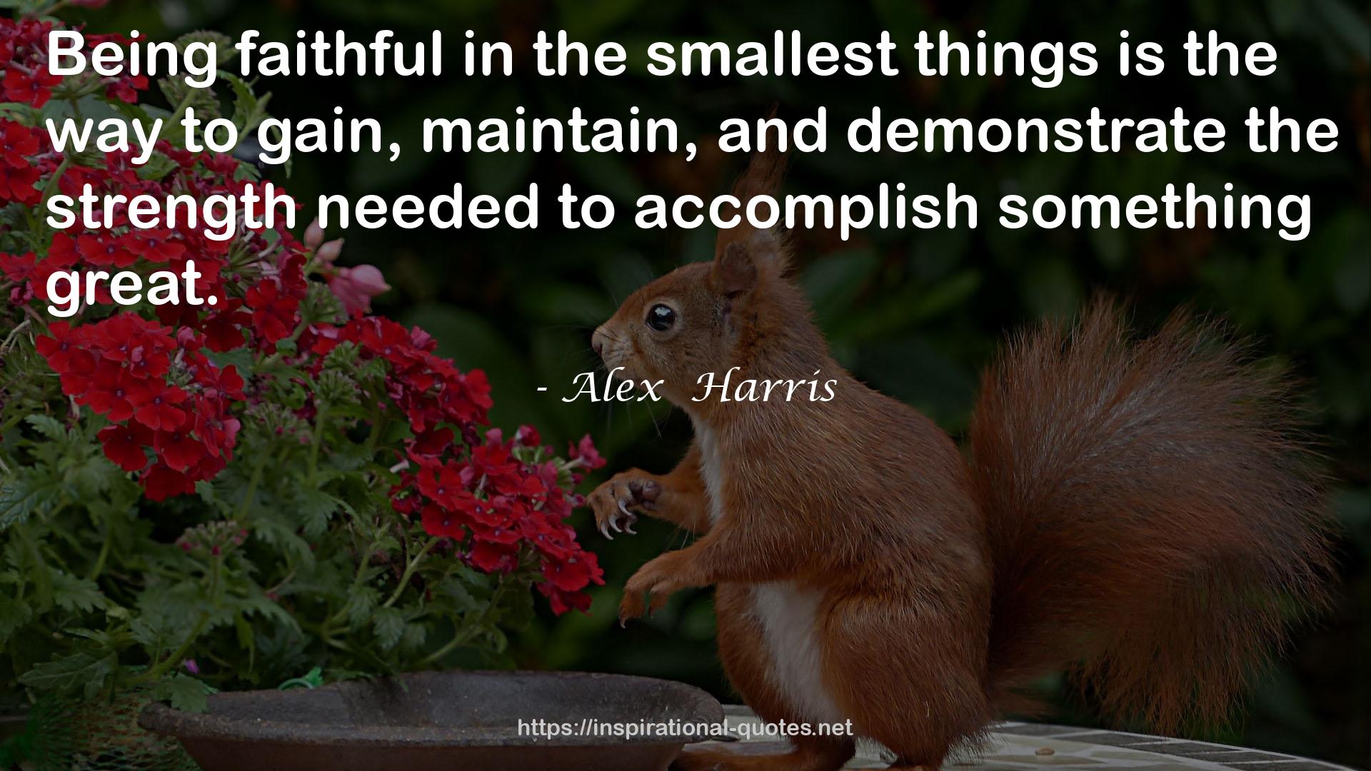 Alex  Harris QUOTES