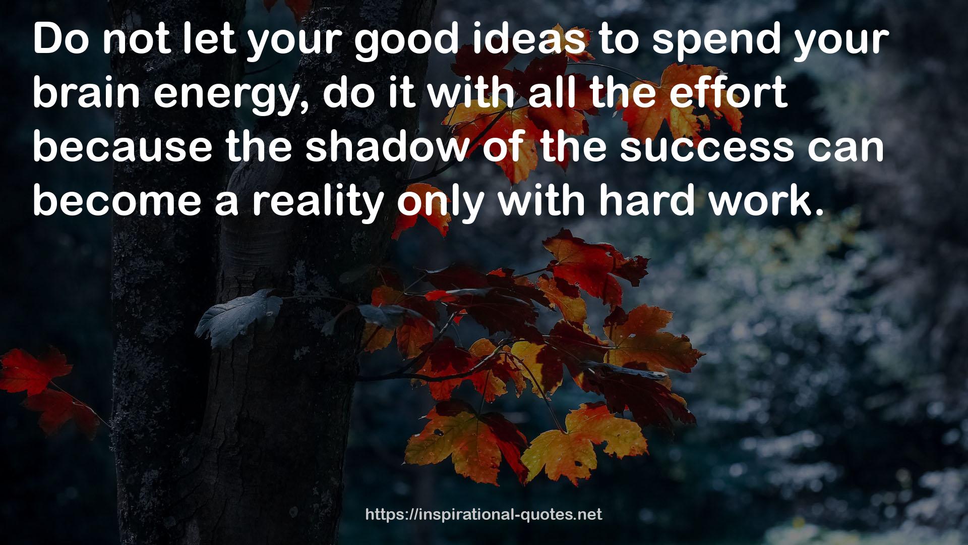 your good ideas  QUOTES