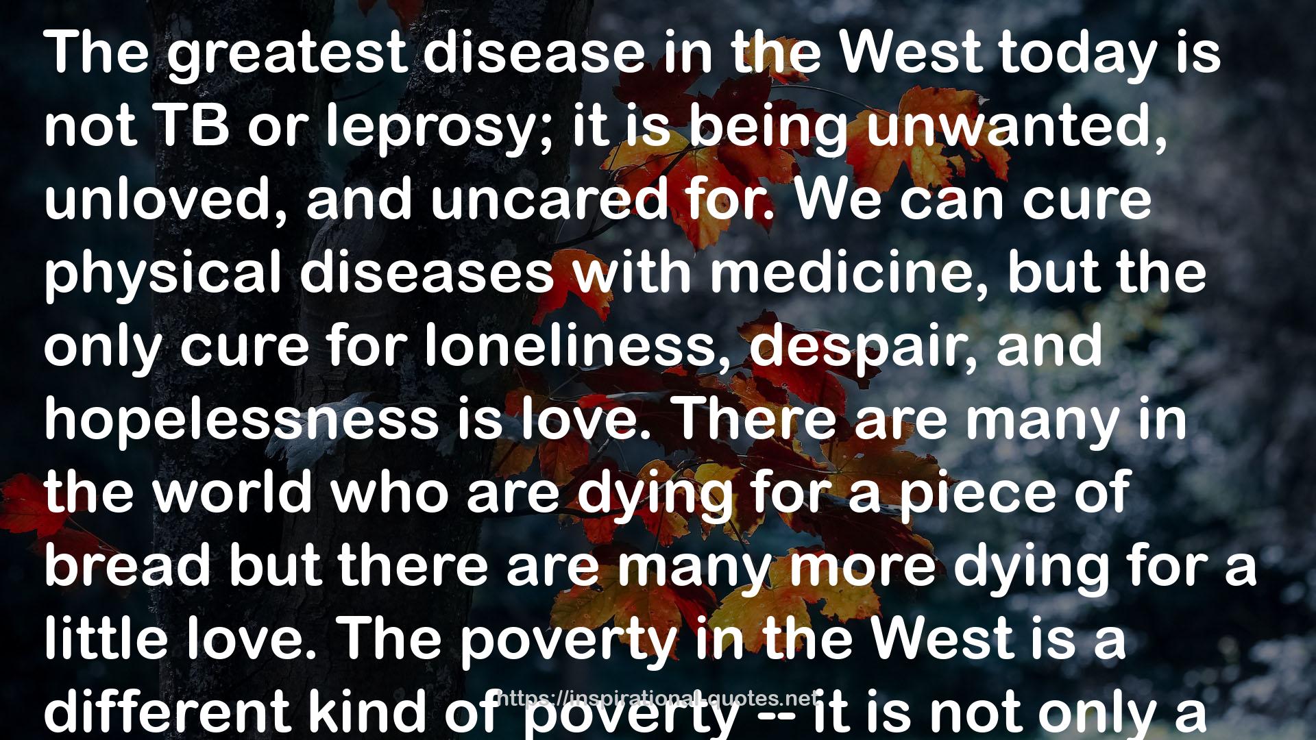 the only cure  QUOTES