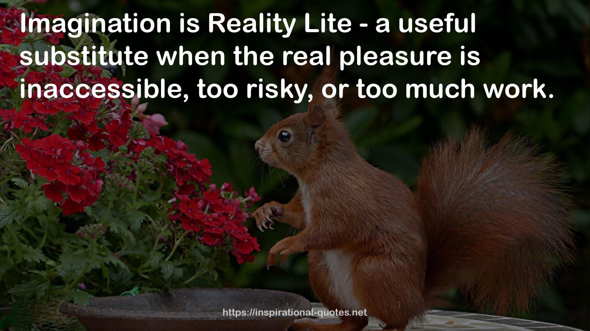 Reality Lite - a useful substitute  QUOTES