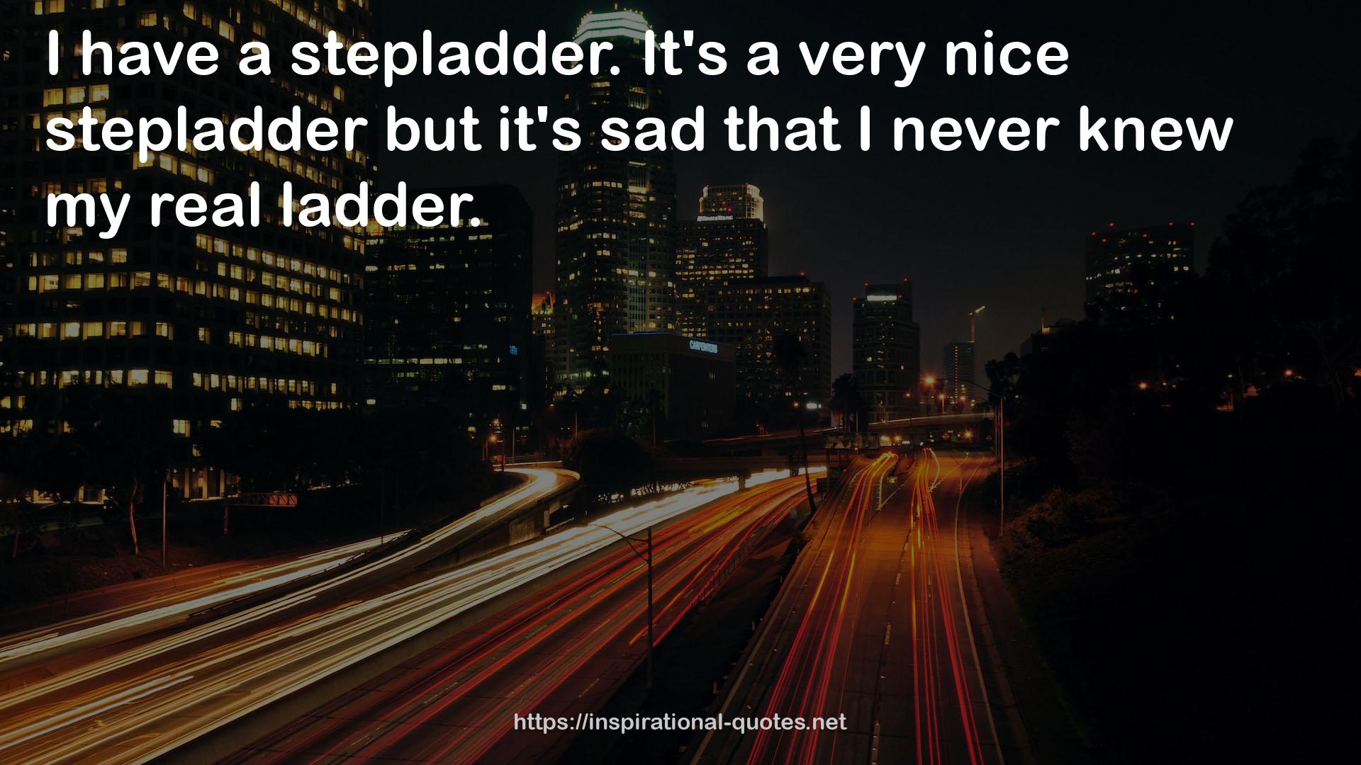 a very nice stepladder  QUOTES