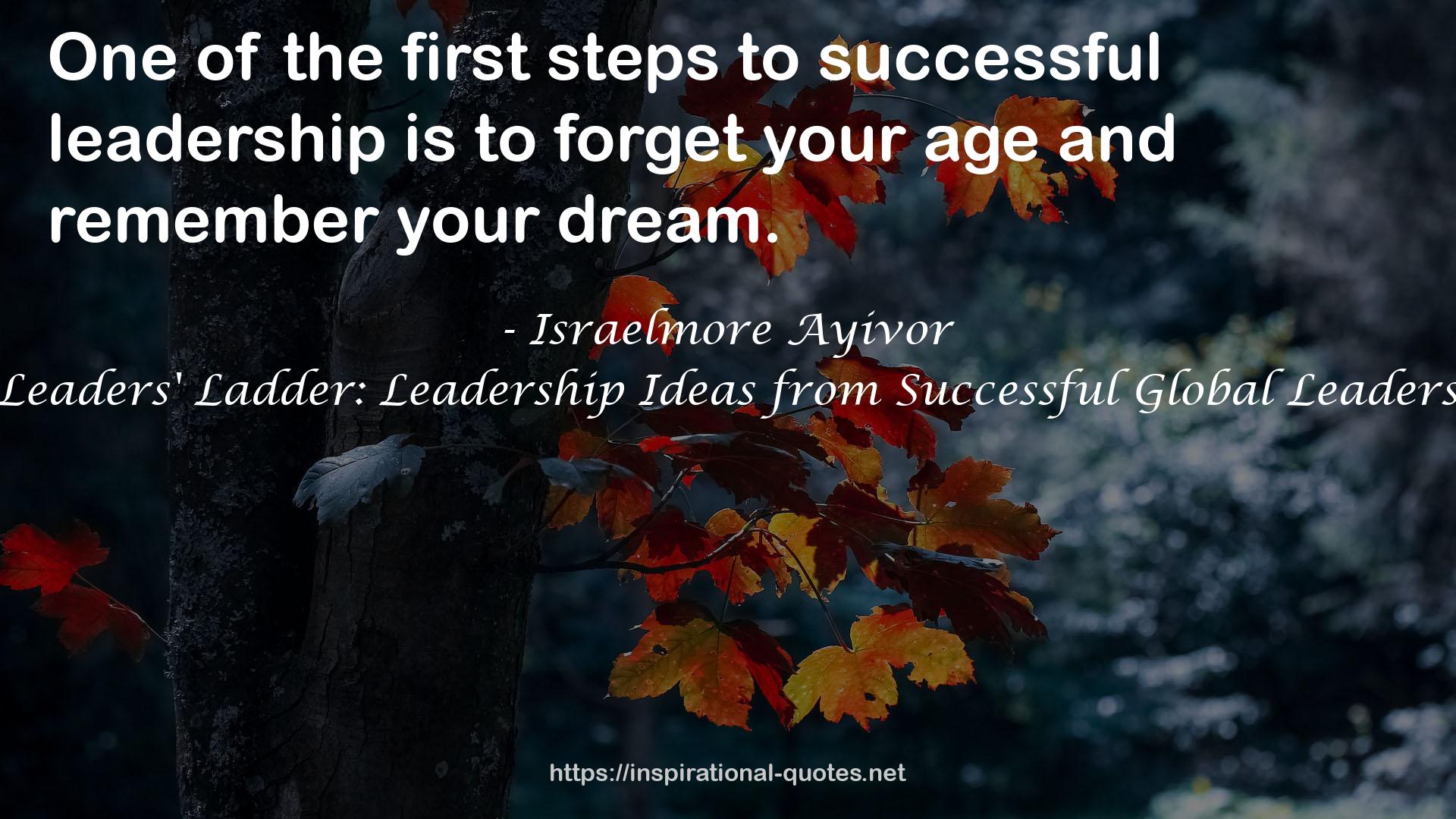 Leaders' Ladder: Leadership Ideas from Successful Global Leaders QUOTES