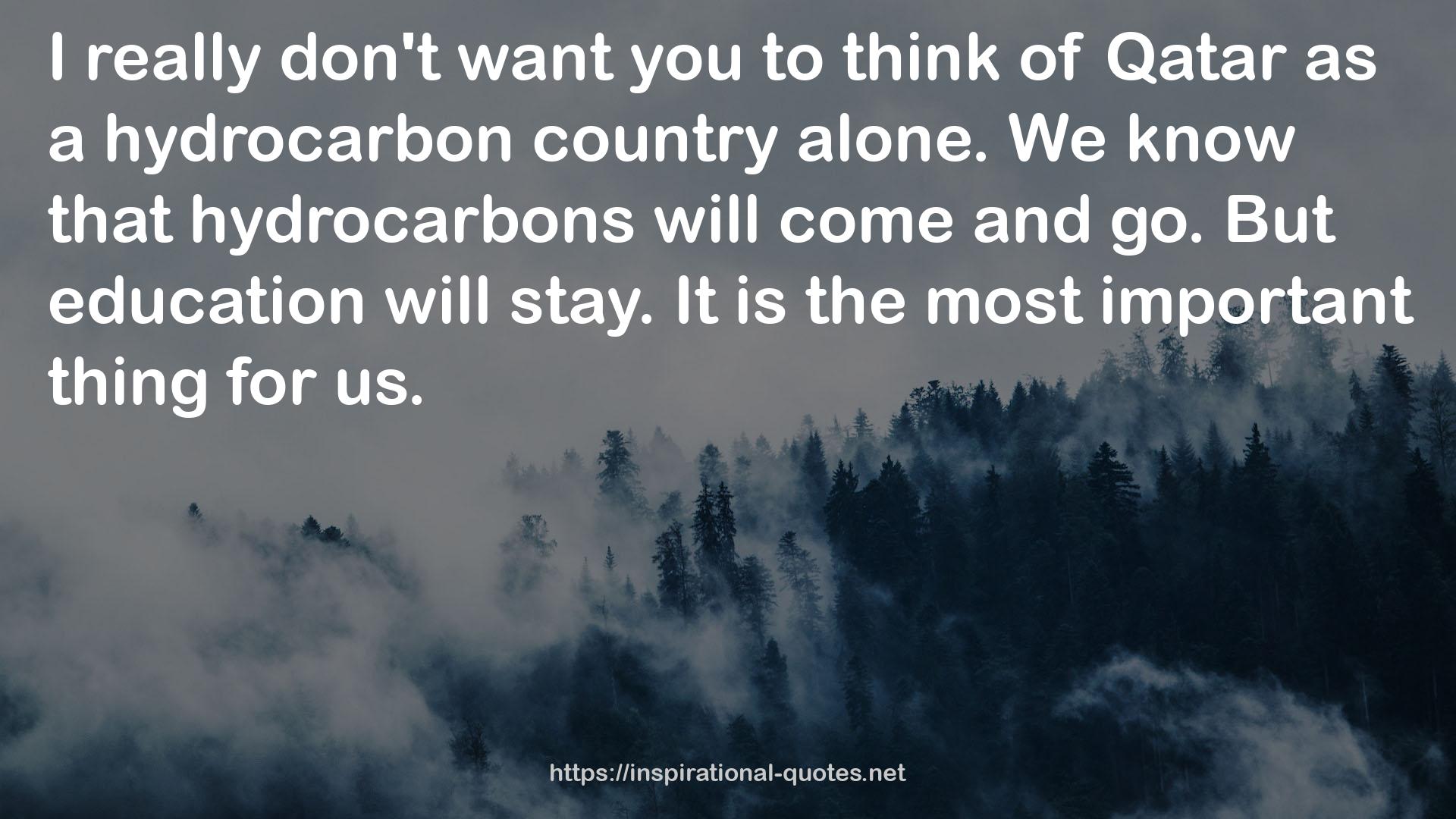 a hydrocarbon country  QUOTES