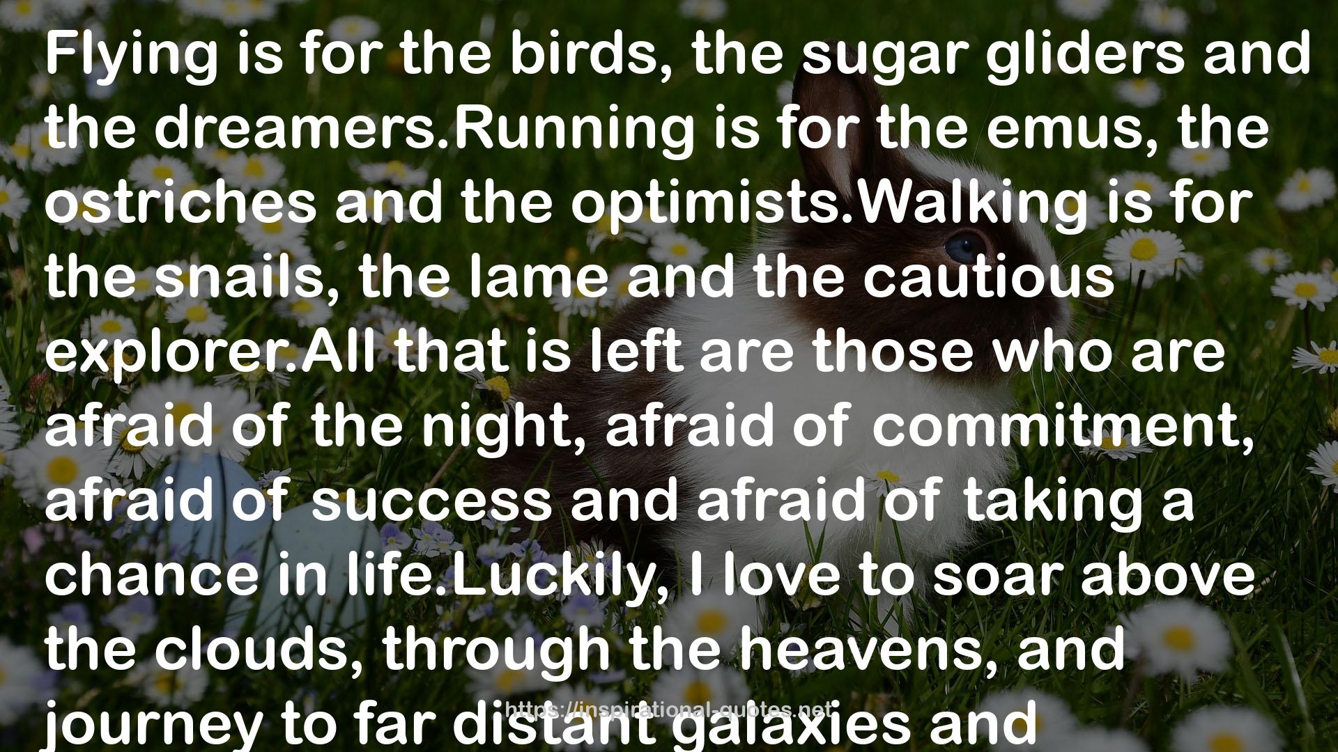 gliders  QUOTES