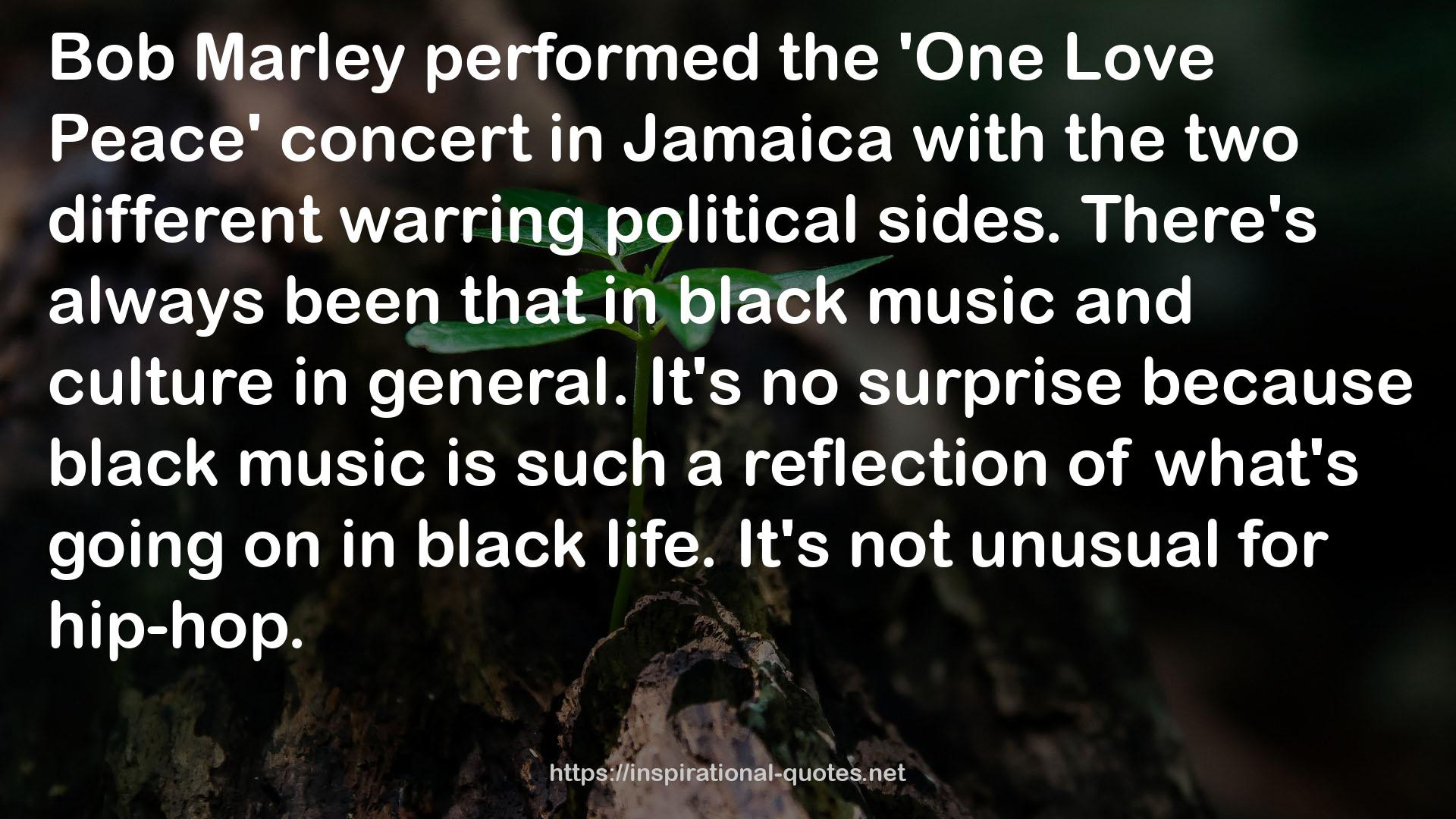 the 'One Love Peace' concert  QUOTES