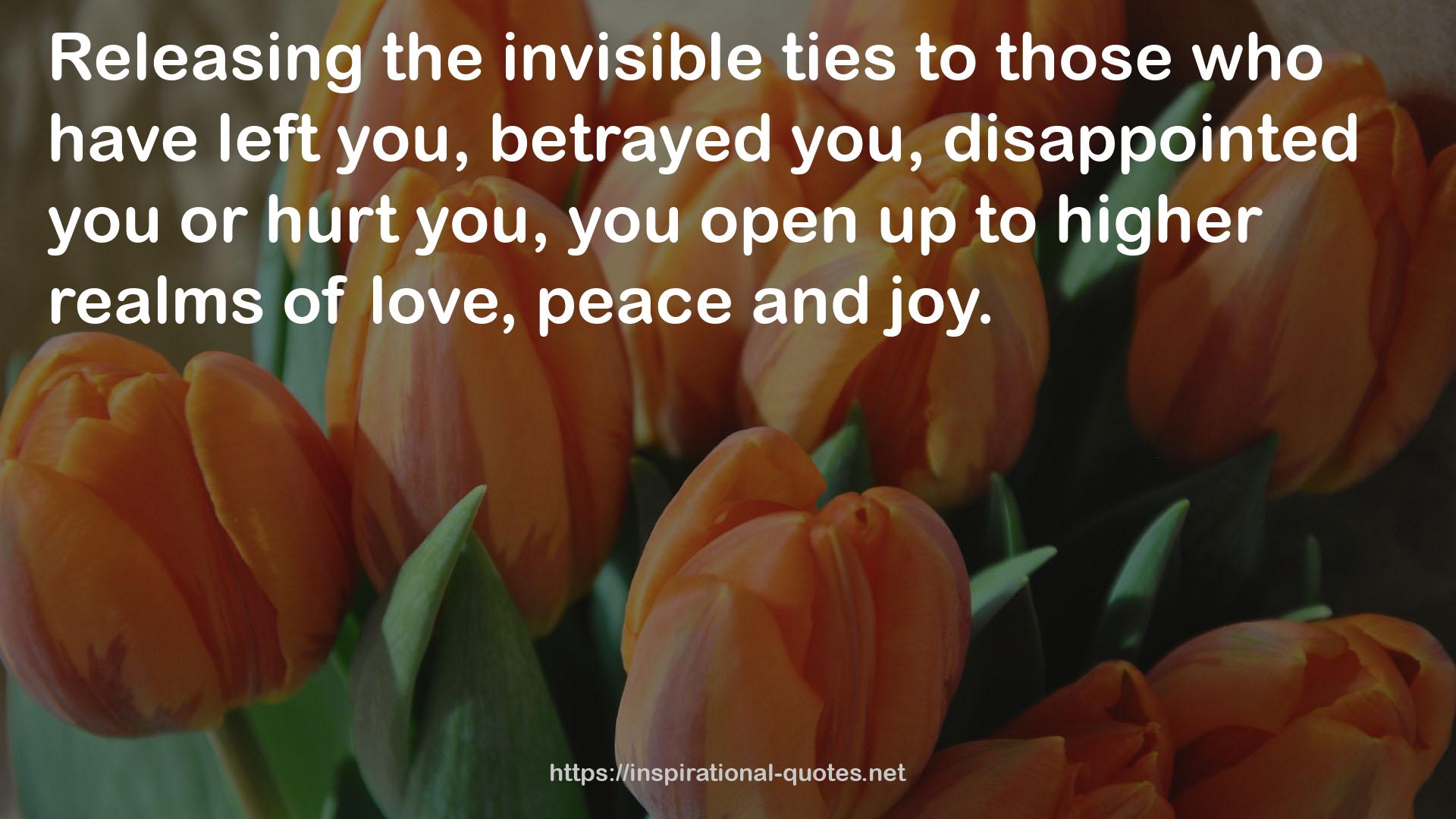 the invisible ties  QUOTES