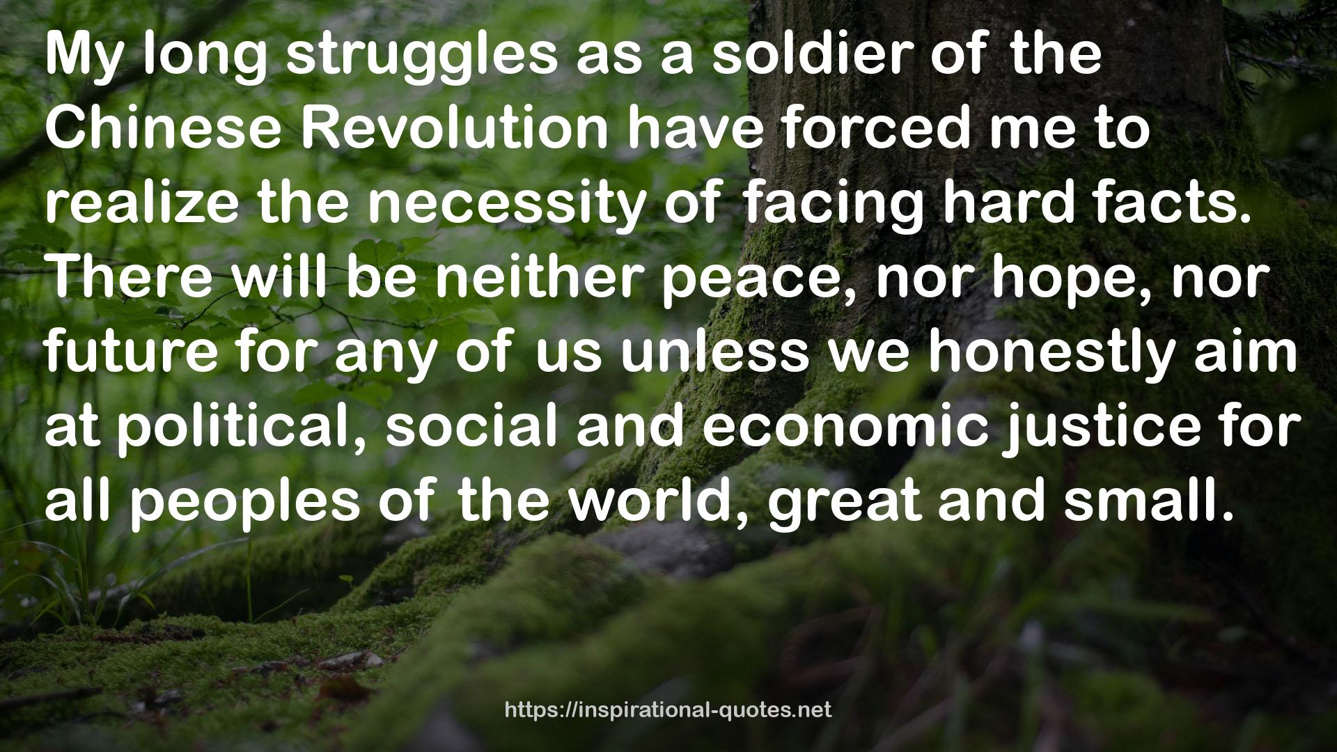 the Chinese Revolution  QUOTES