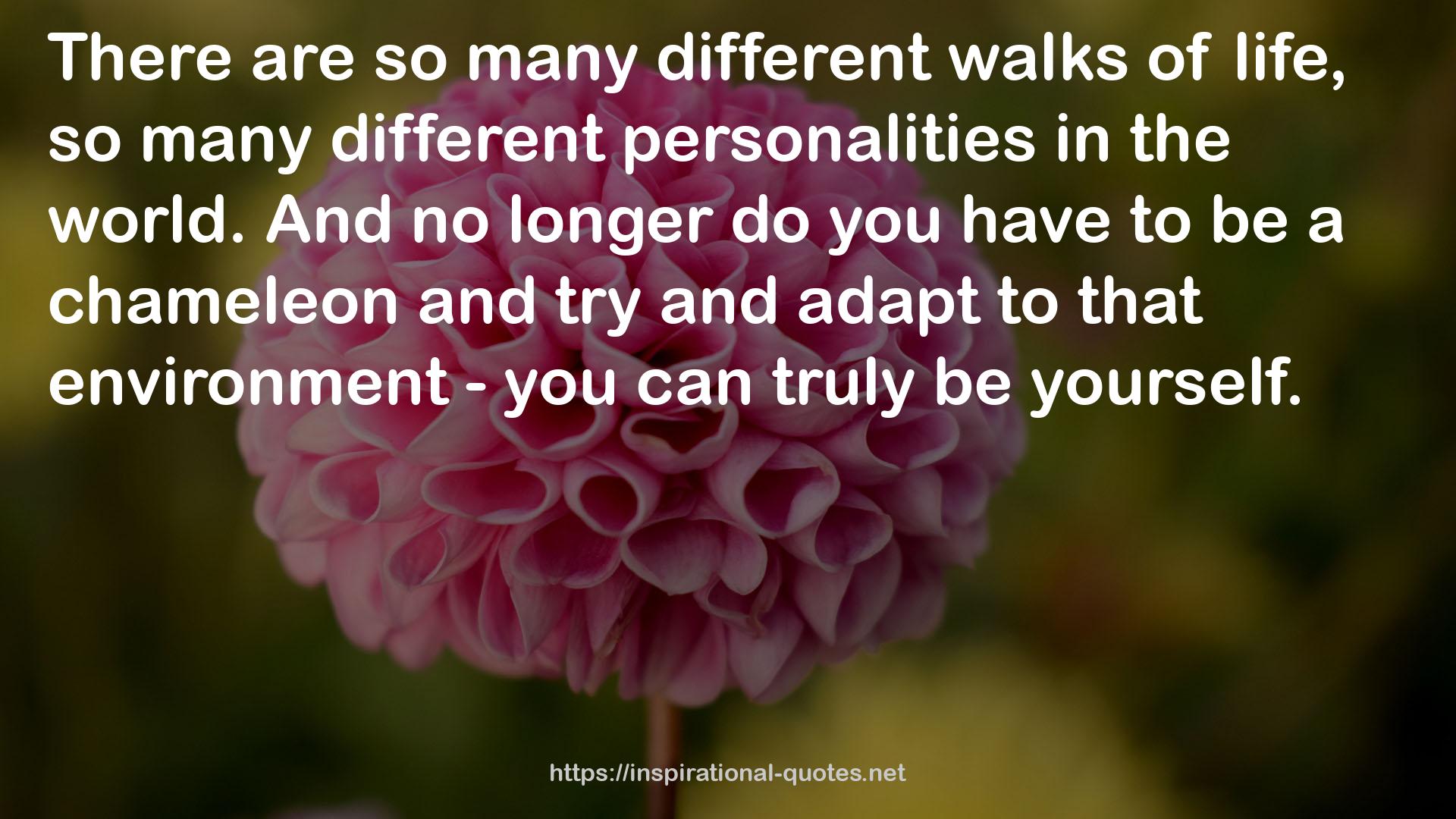 so many different walks  QUOTES