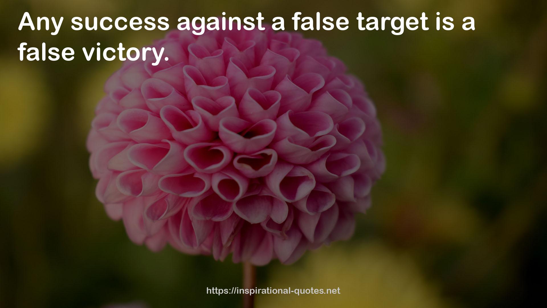 a false target  QUOTES