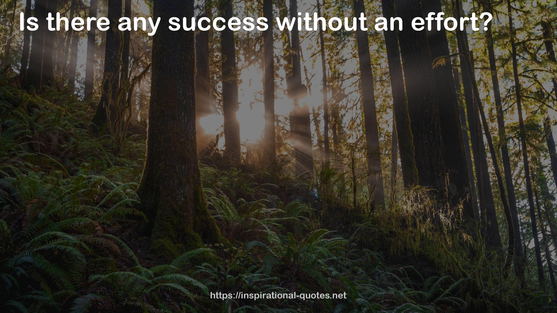 any success  QUOTES